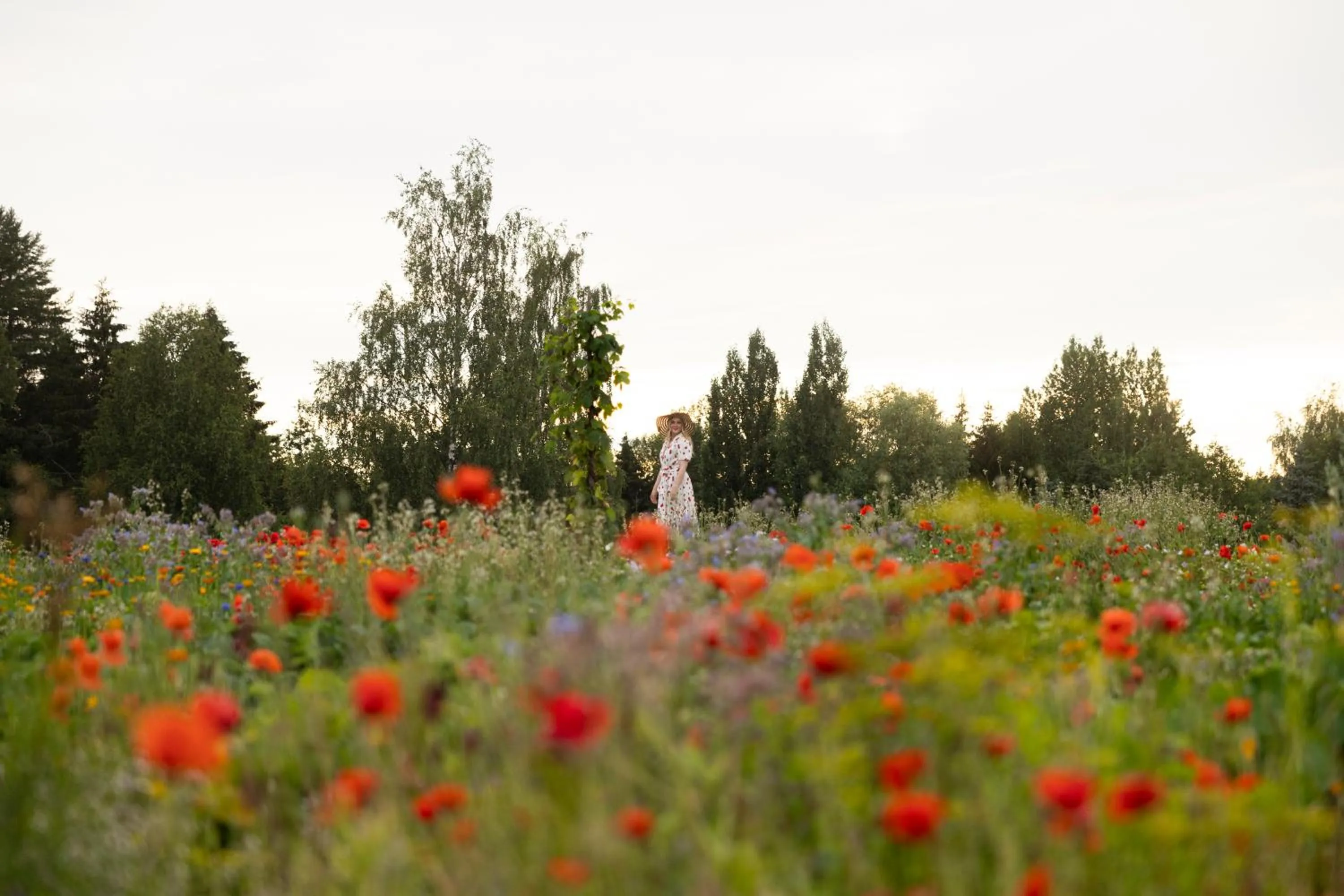 Garden in Tertin Kartano