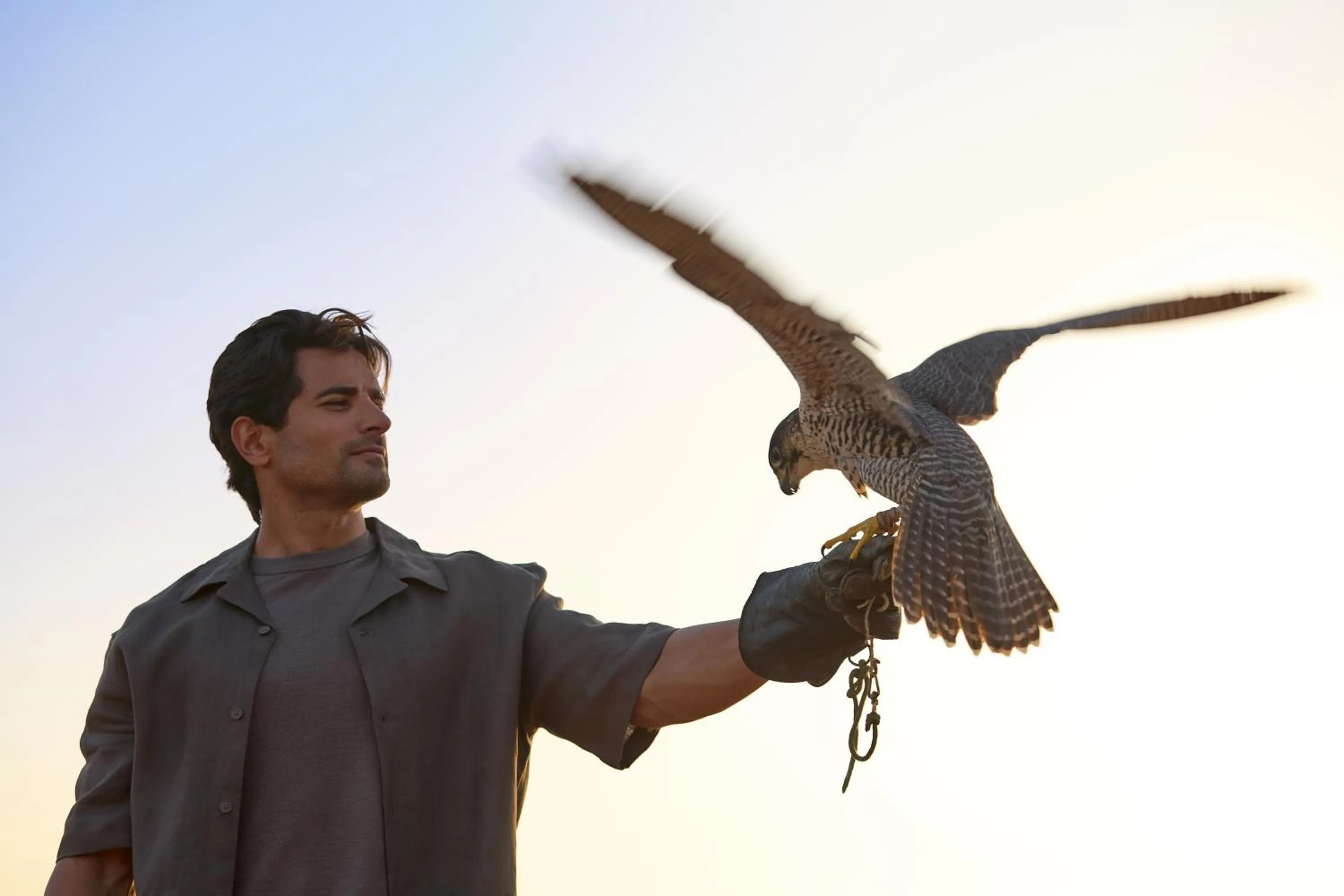 Activities in Al Maha, a Luxury Collection Desert Resort & Spa, Dubai