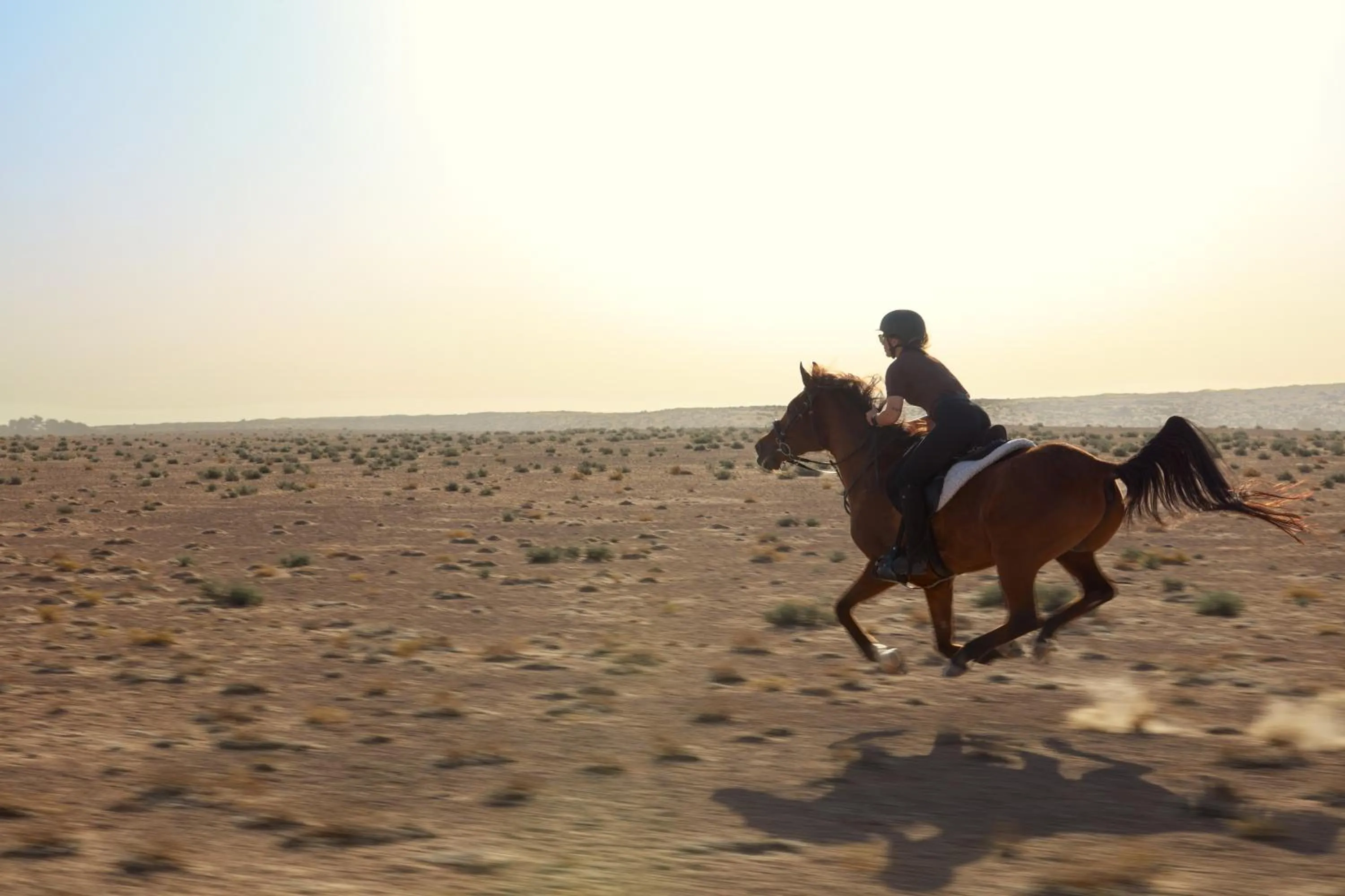 Activities in Al Maha, a Luxury Collection Desert Resort & Spa, Dubai