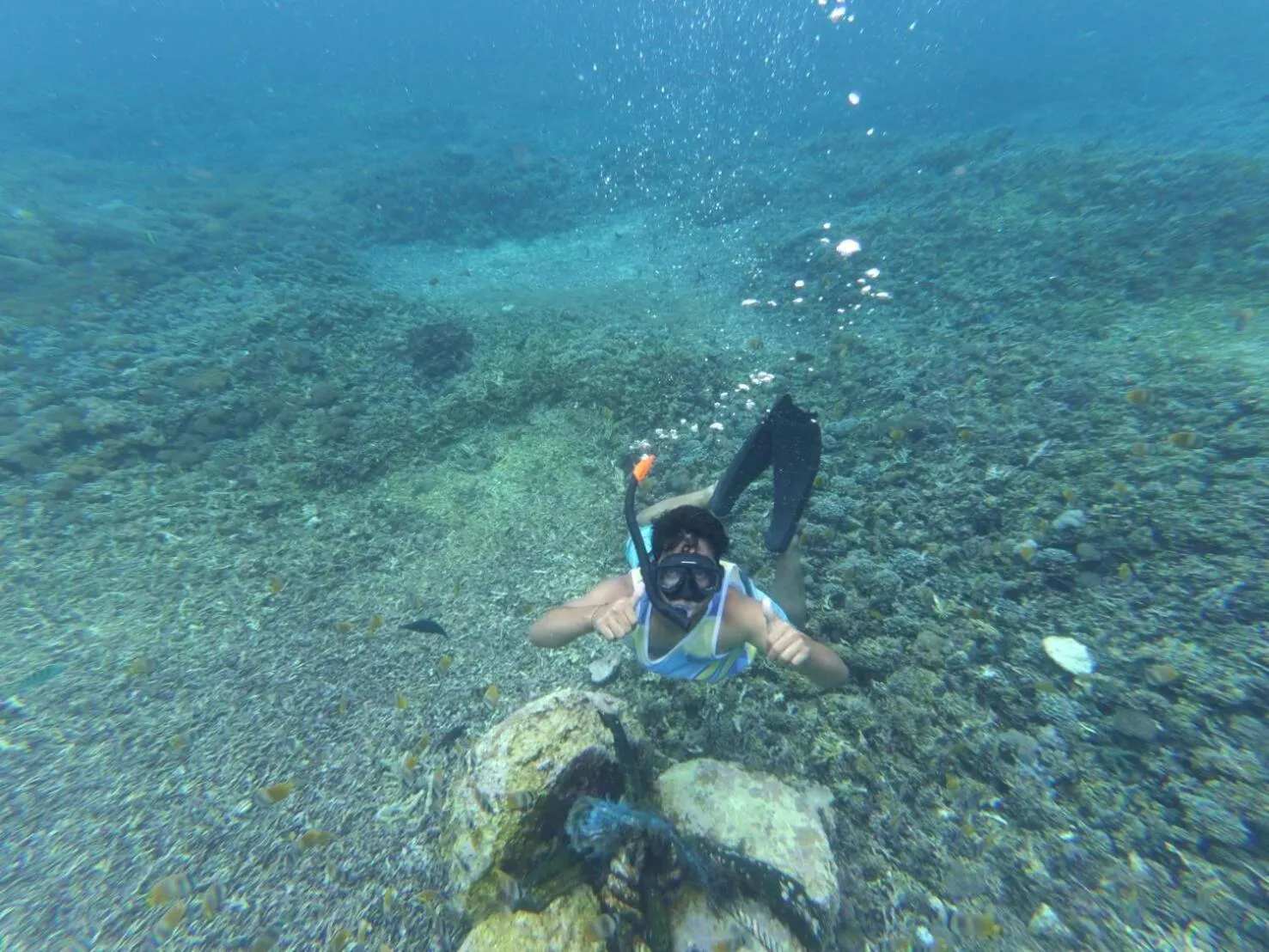Snorkeling in Saren Villa