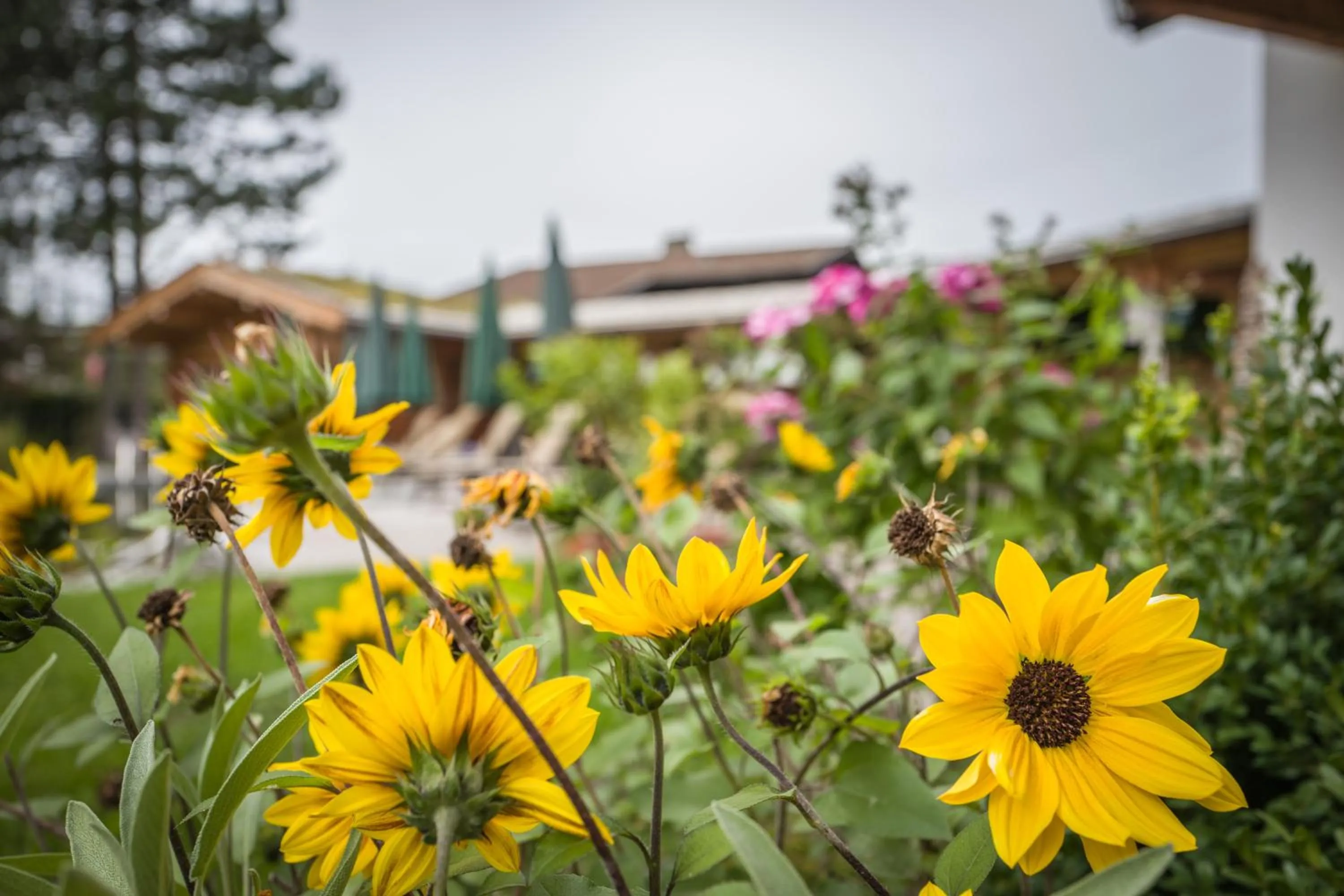 Garden in Flora - Das kleine Gartenhotel