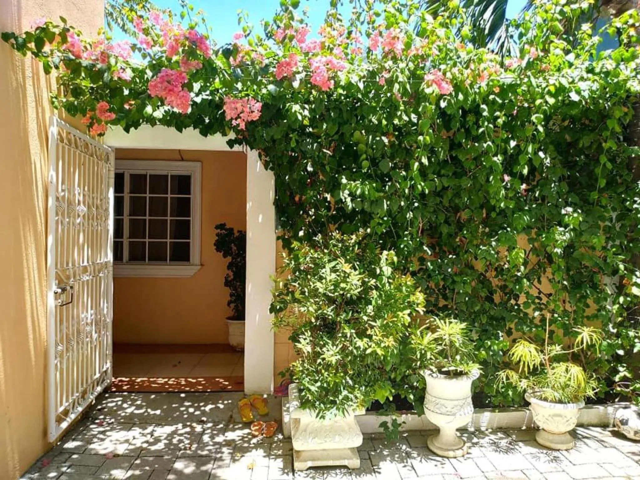 Garden in Little Norway Guesthouse - Mactan Cebu International Airport