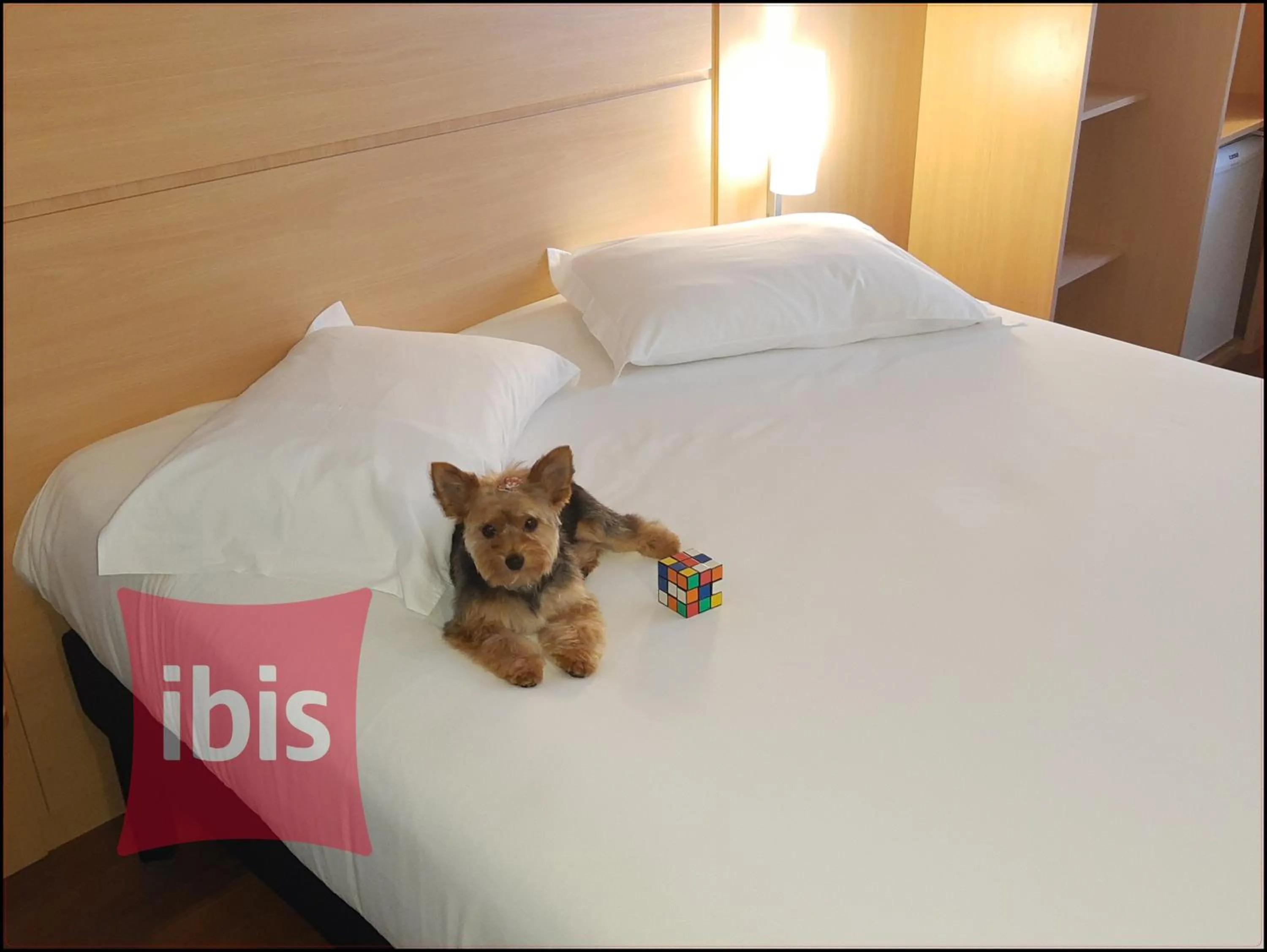Bed in ibis Passo Fundo Centro
