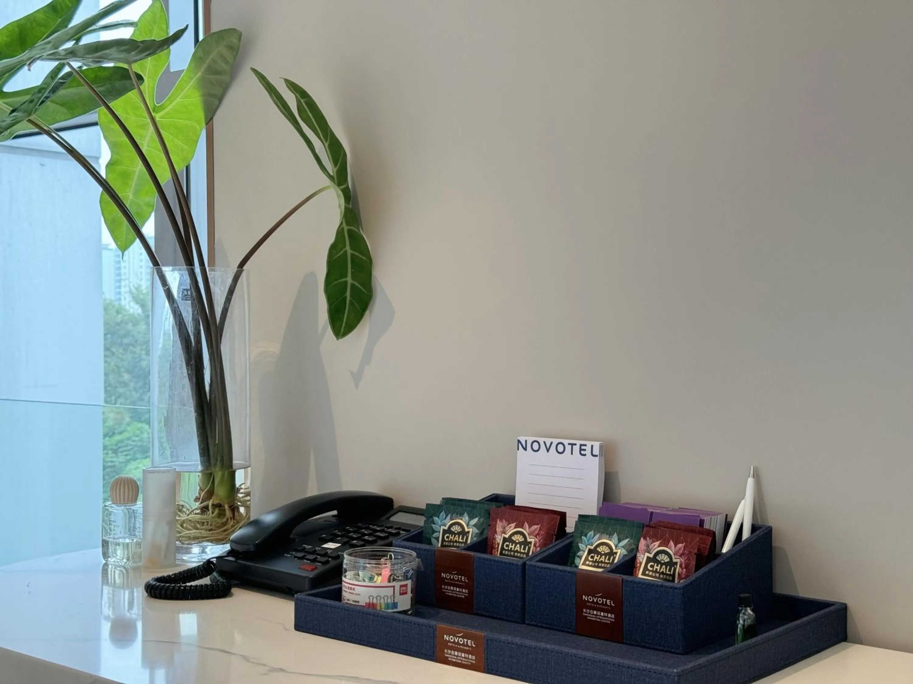 ibis Styles Changsha Intl Exhibition Ctr