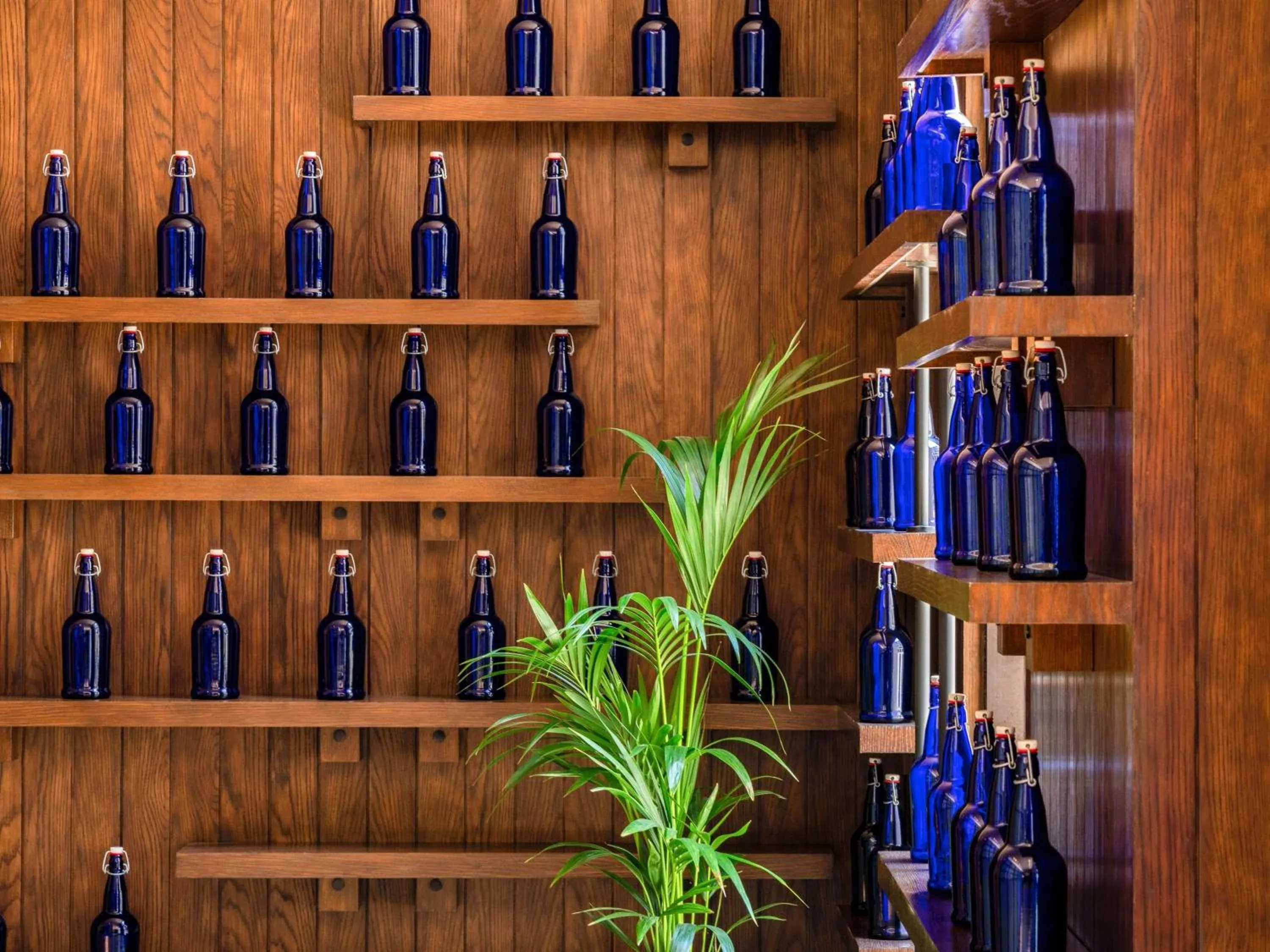 Restaurant/places to eat in Alwadi Hotel Doha - MGallery Collection