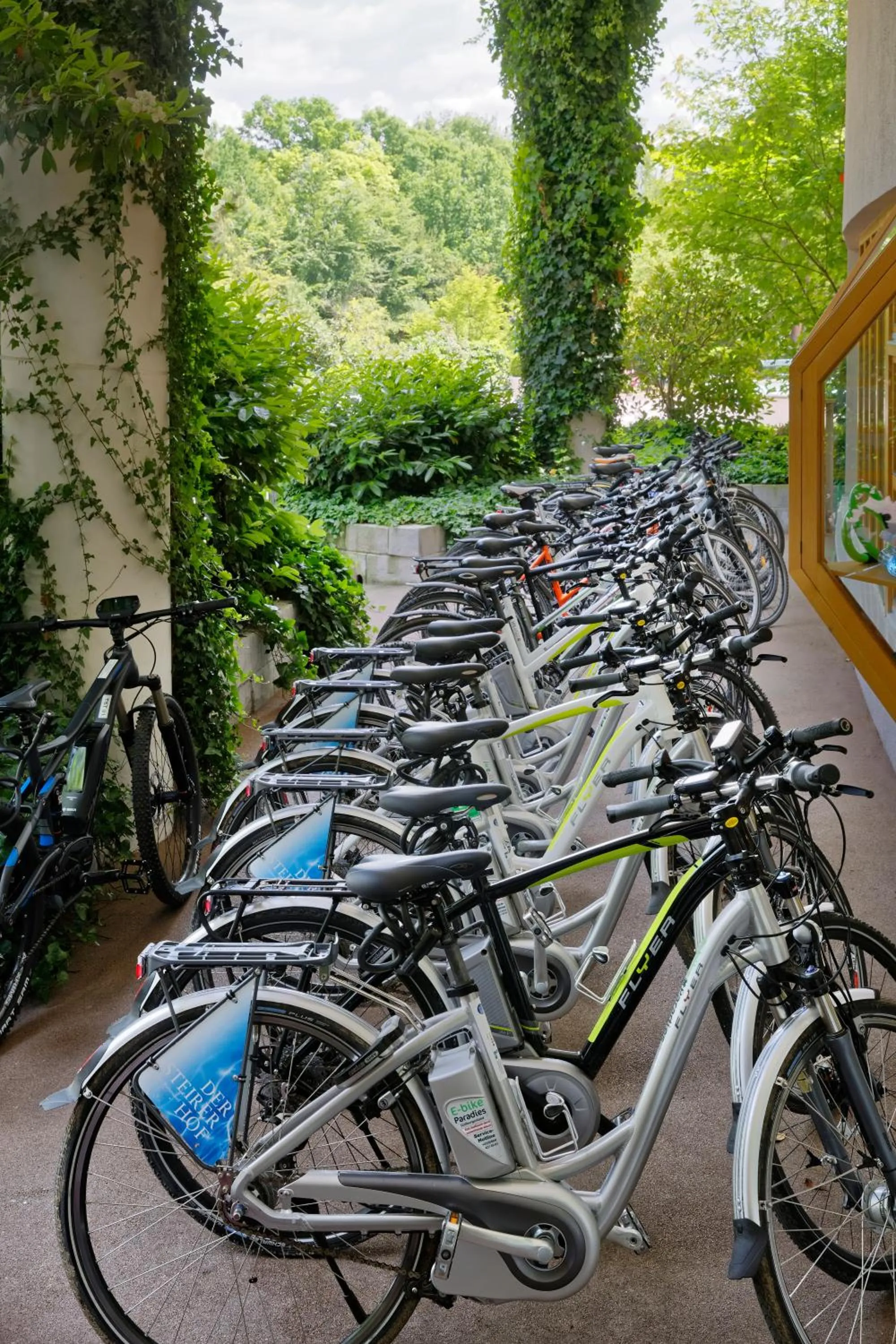 Activities in Hotel & Spa Der Steirerhof