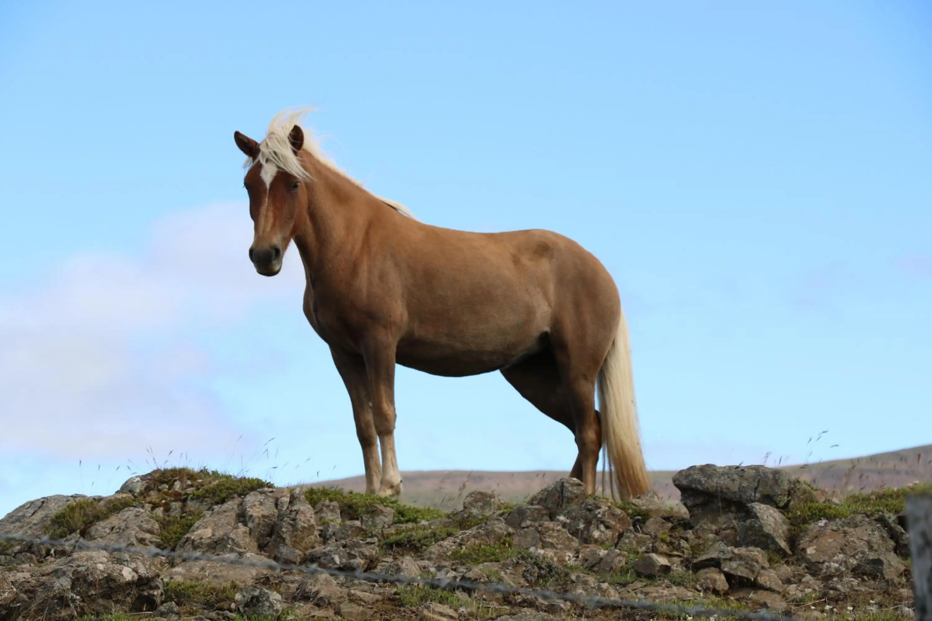 Property building in Hotel 1001 Nott