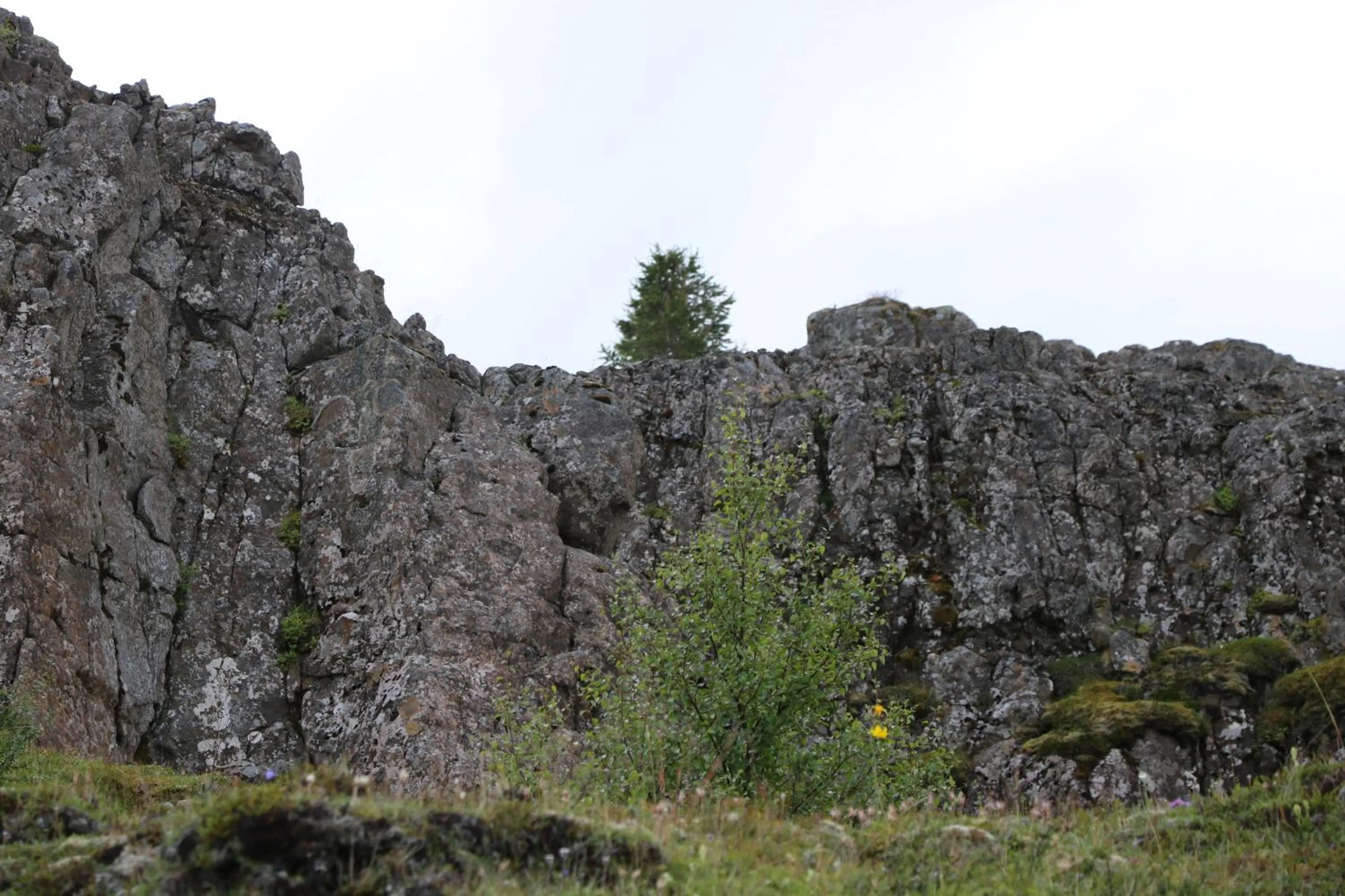 Property building in Hotel 1001 Nott