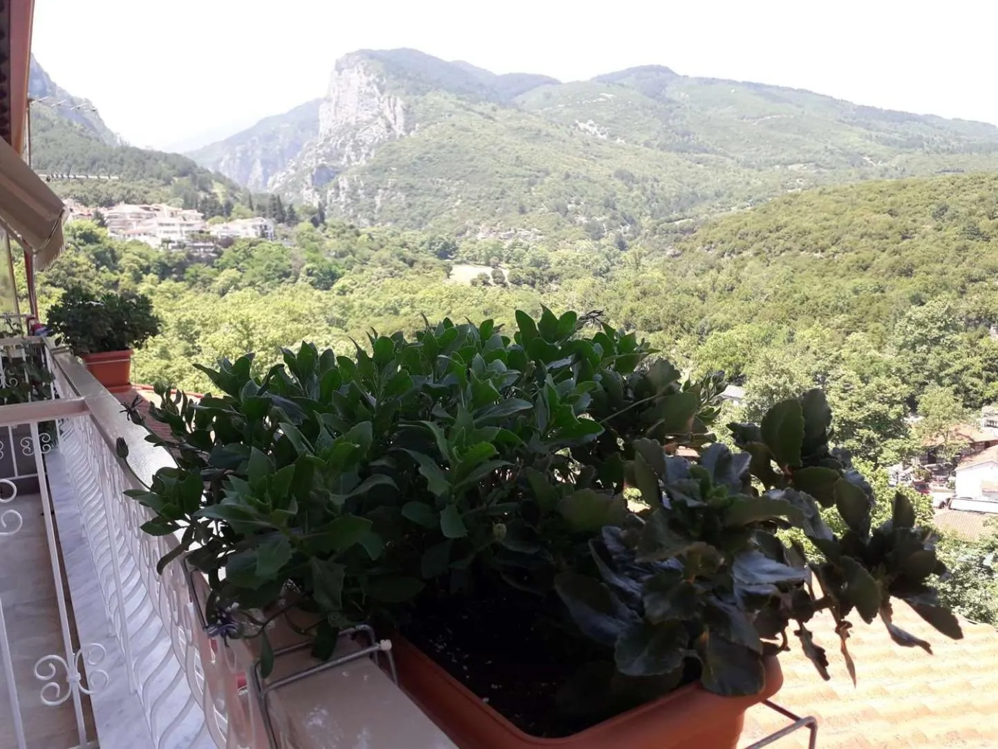 Olympus View Rooms Sauna & Spa