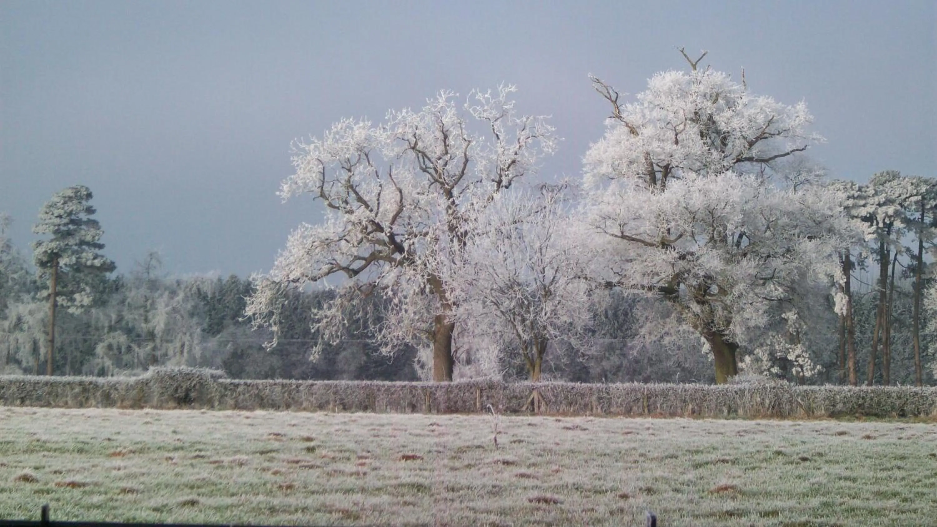 Winter in Mayertorne Cottage