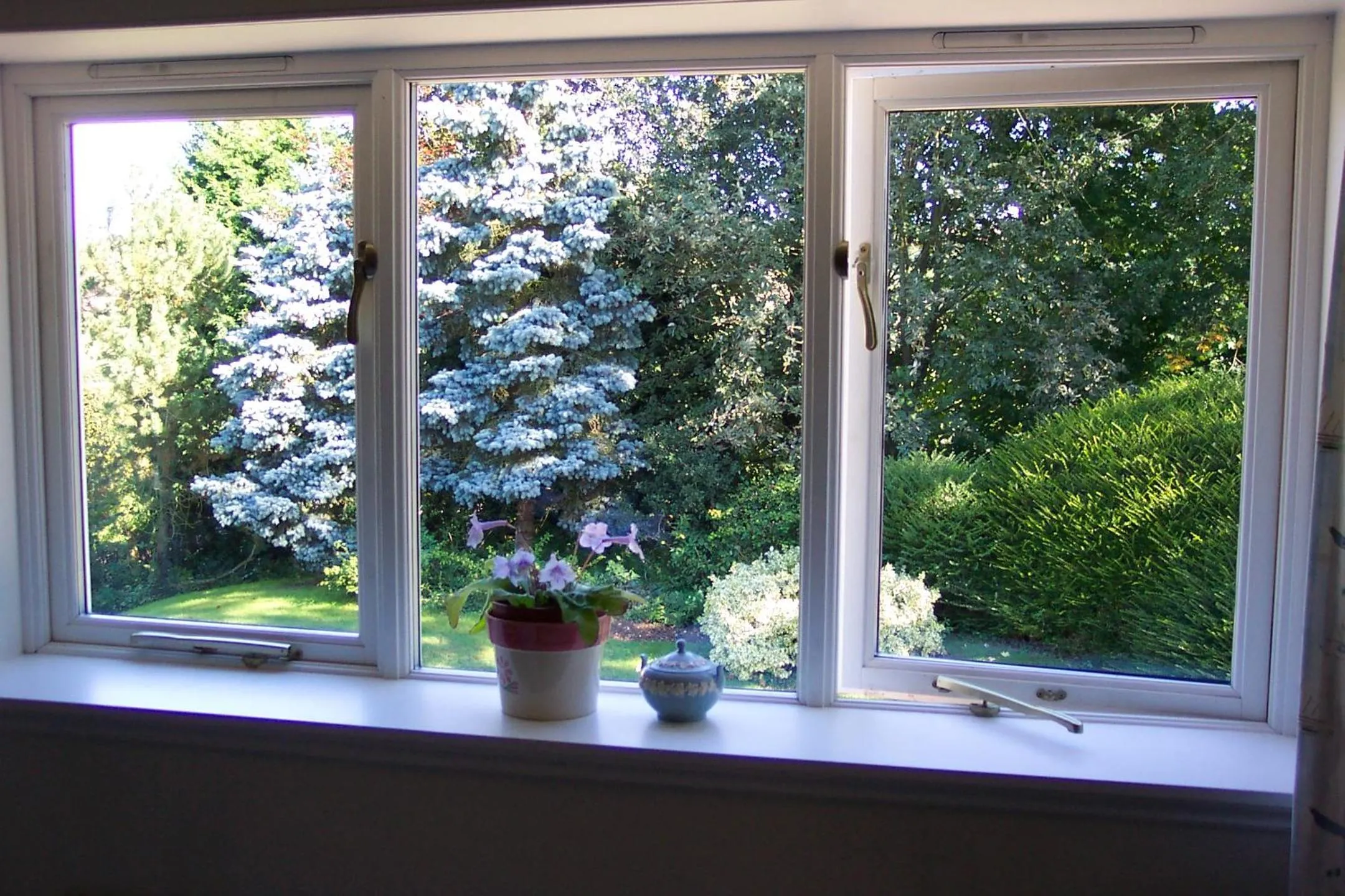 Garden view in Mayertorne Cottage