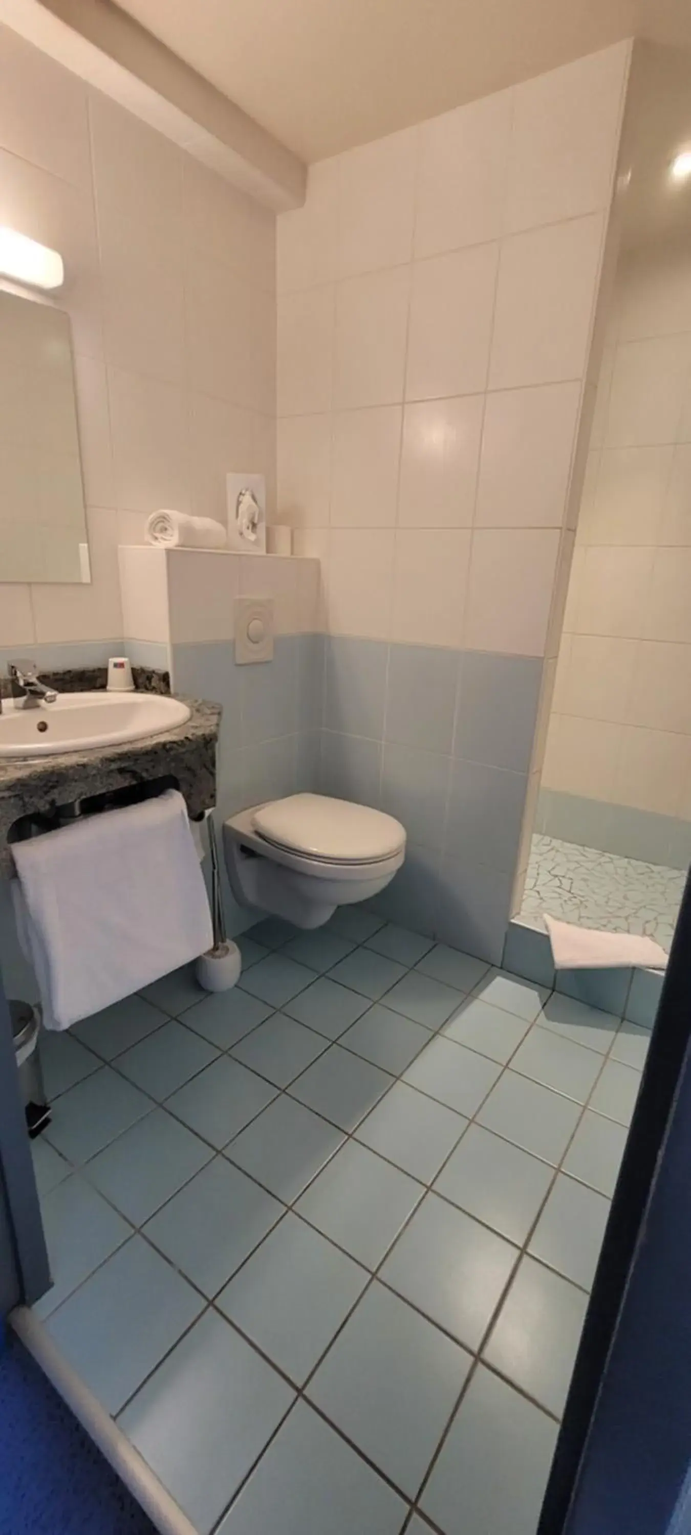 Double Room in Logis Hotel Restaurant Le Cygne Double Room in Logis Hotel Restaurant Le Cygne