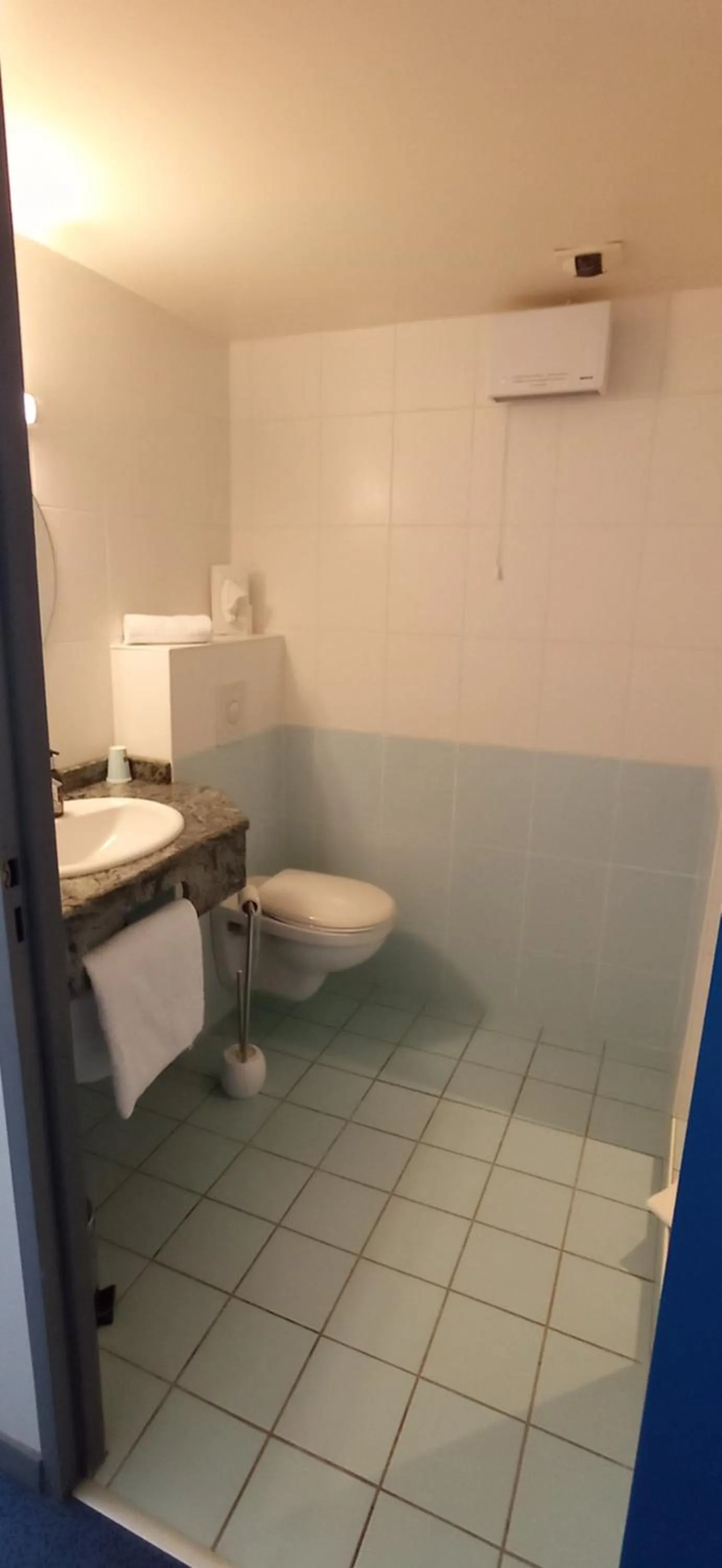 Logis Hotel Restaurant Le Cygne