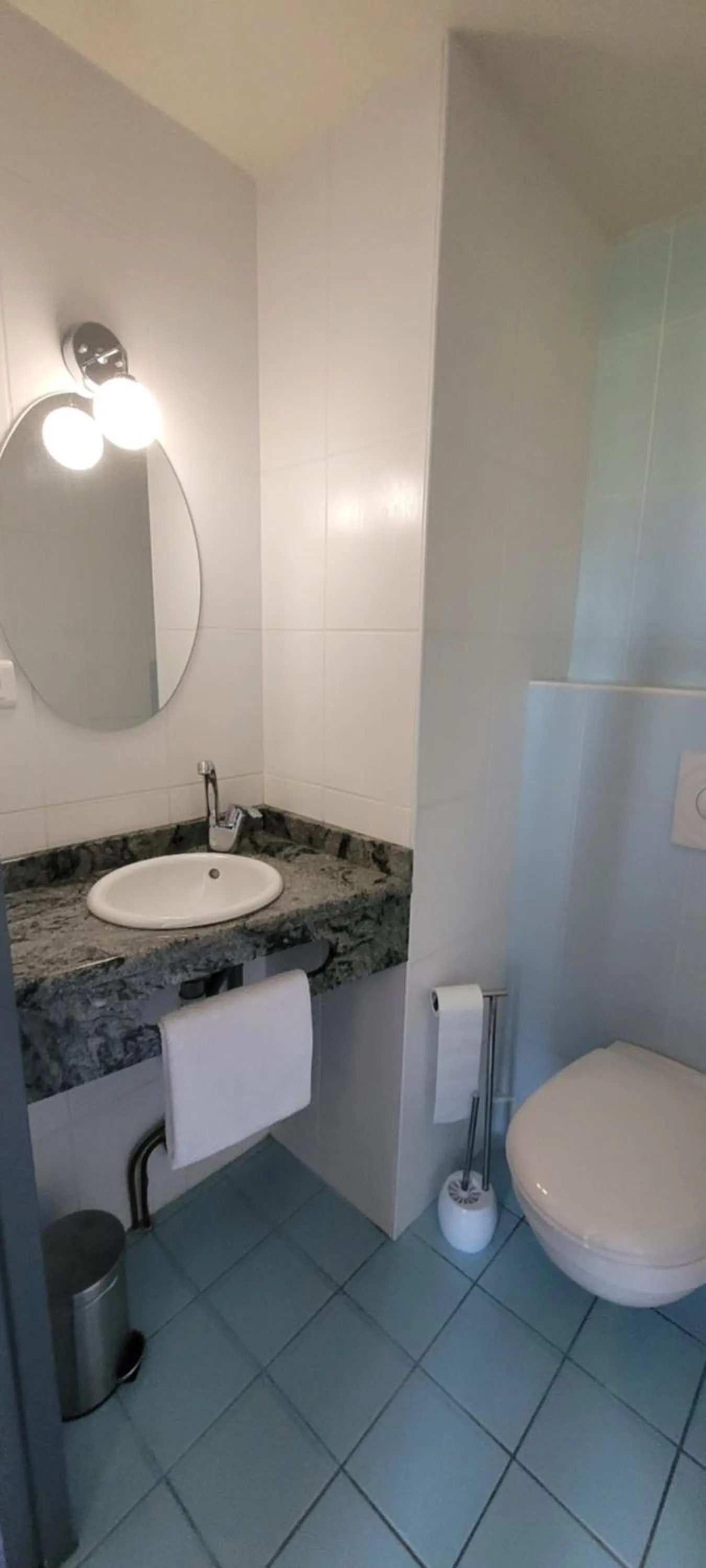 Logis Hotel Restaurant Le Cygne