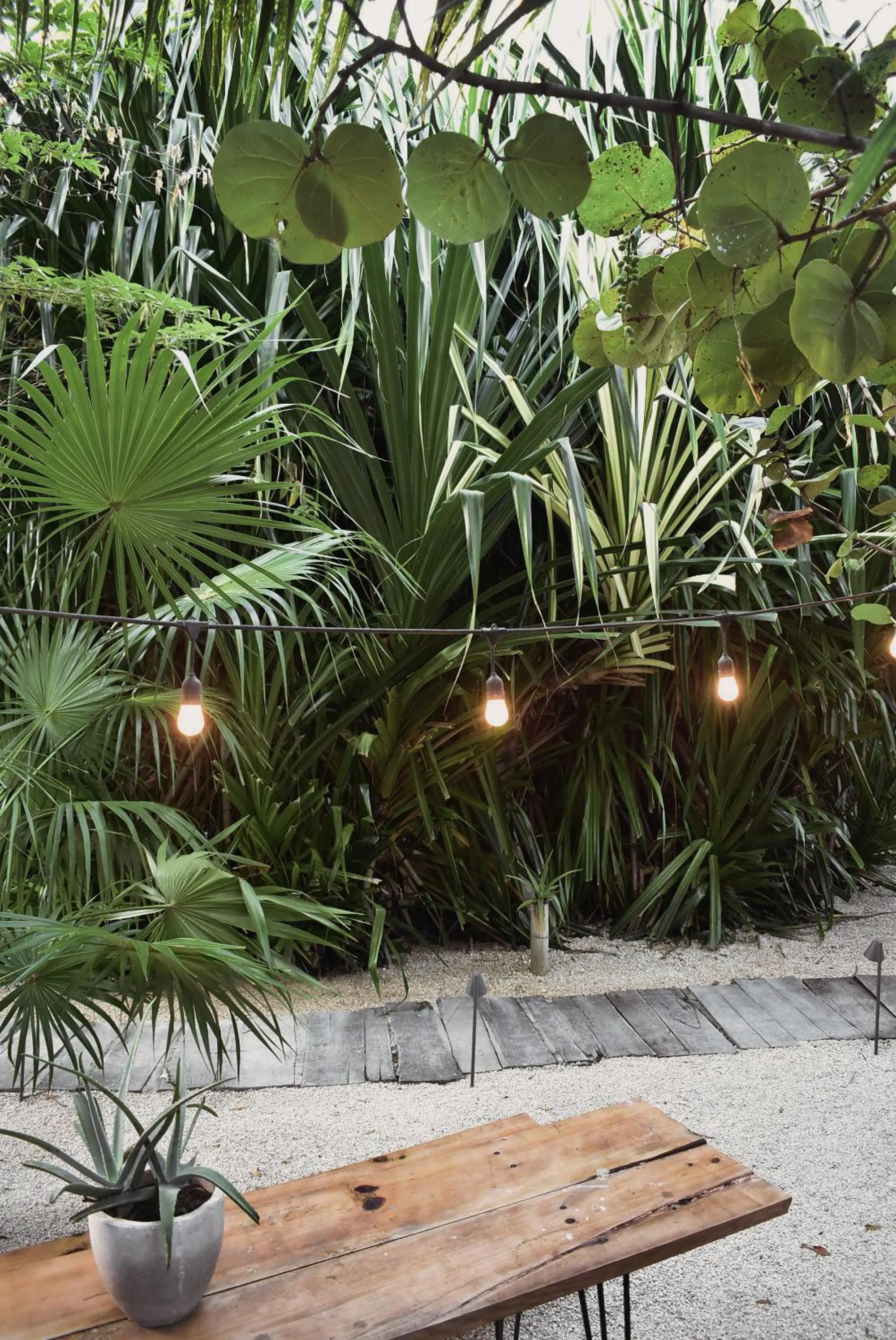 Photo of the whole room in Amor Rooms