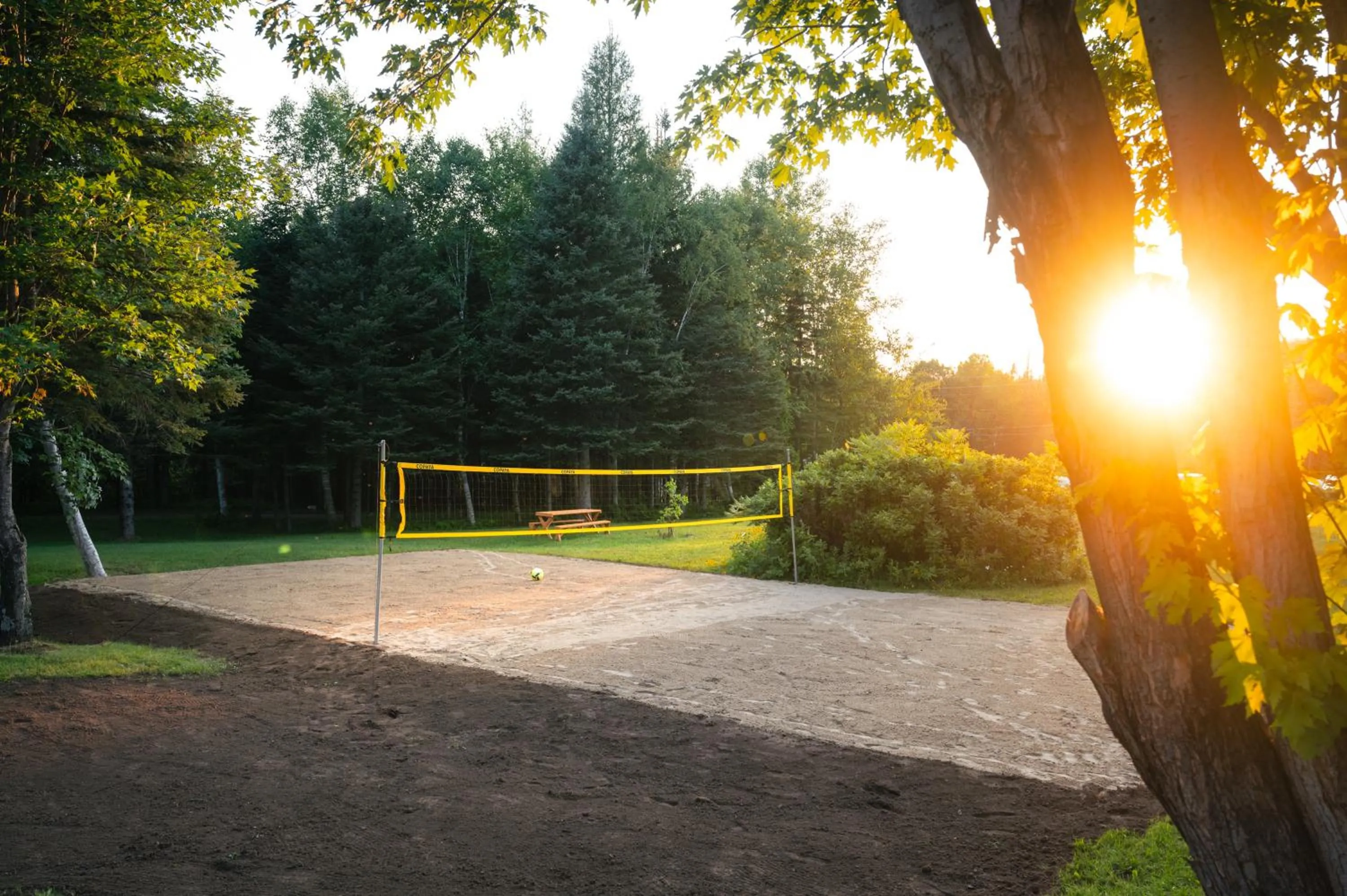 Activities in Le Relais des Hautes Gorges