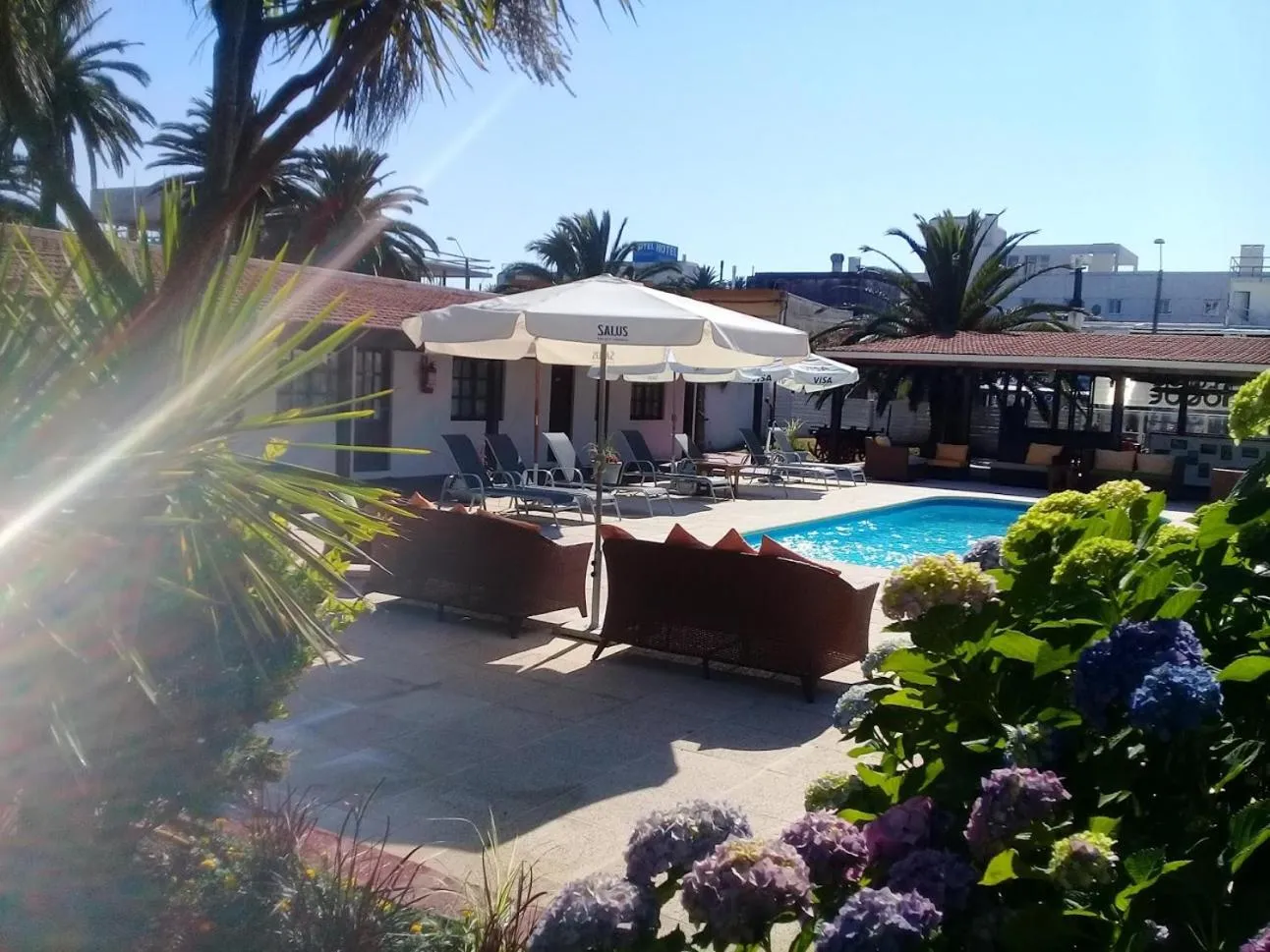 Garden in Hotel Concorde