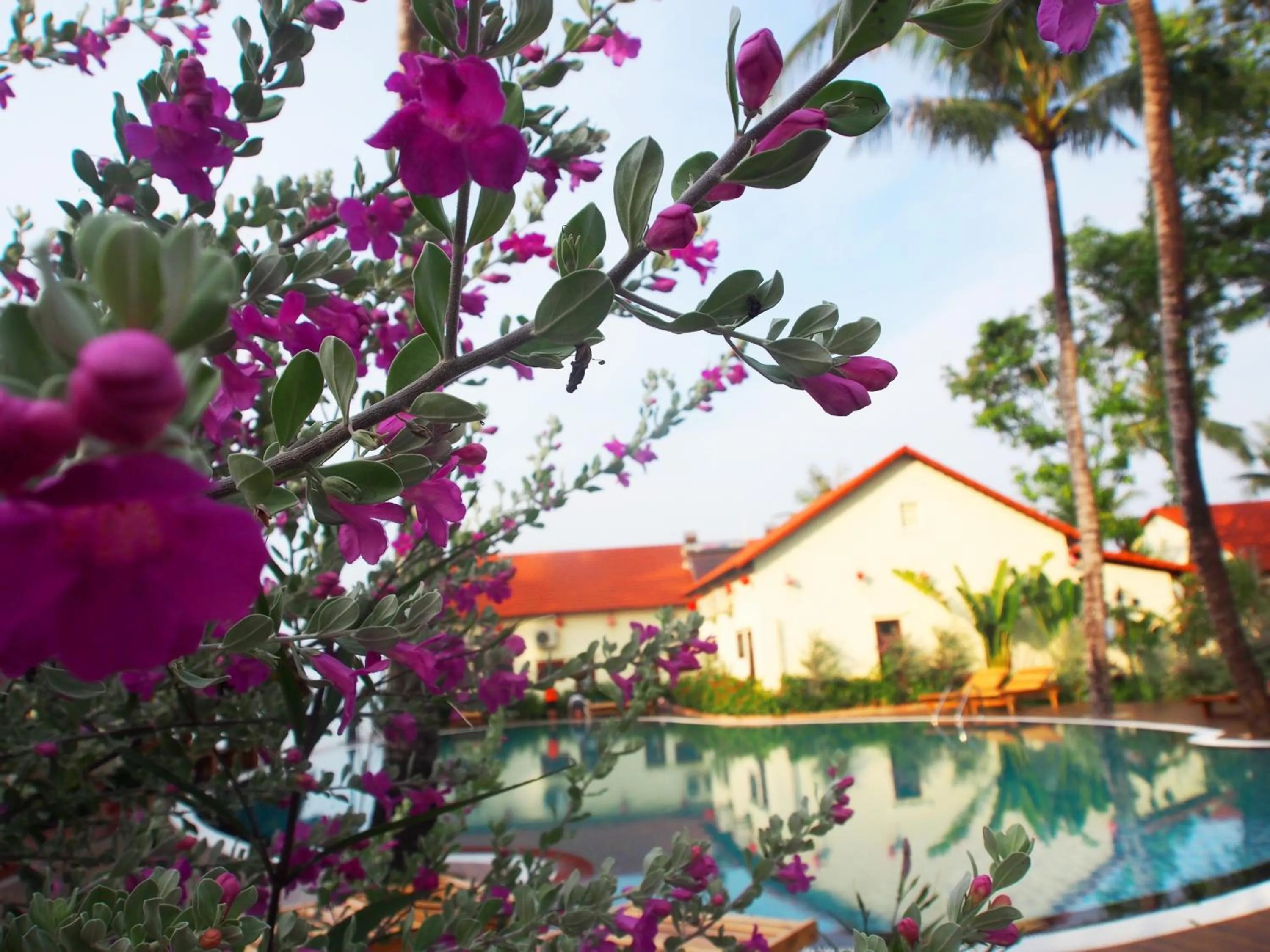 Garden in Hula Hula Seafront Phu Quoc