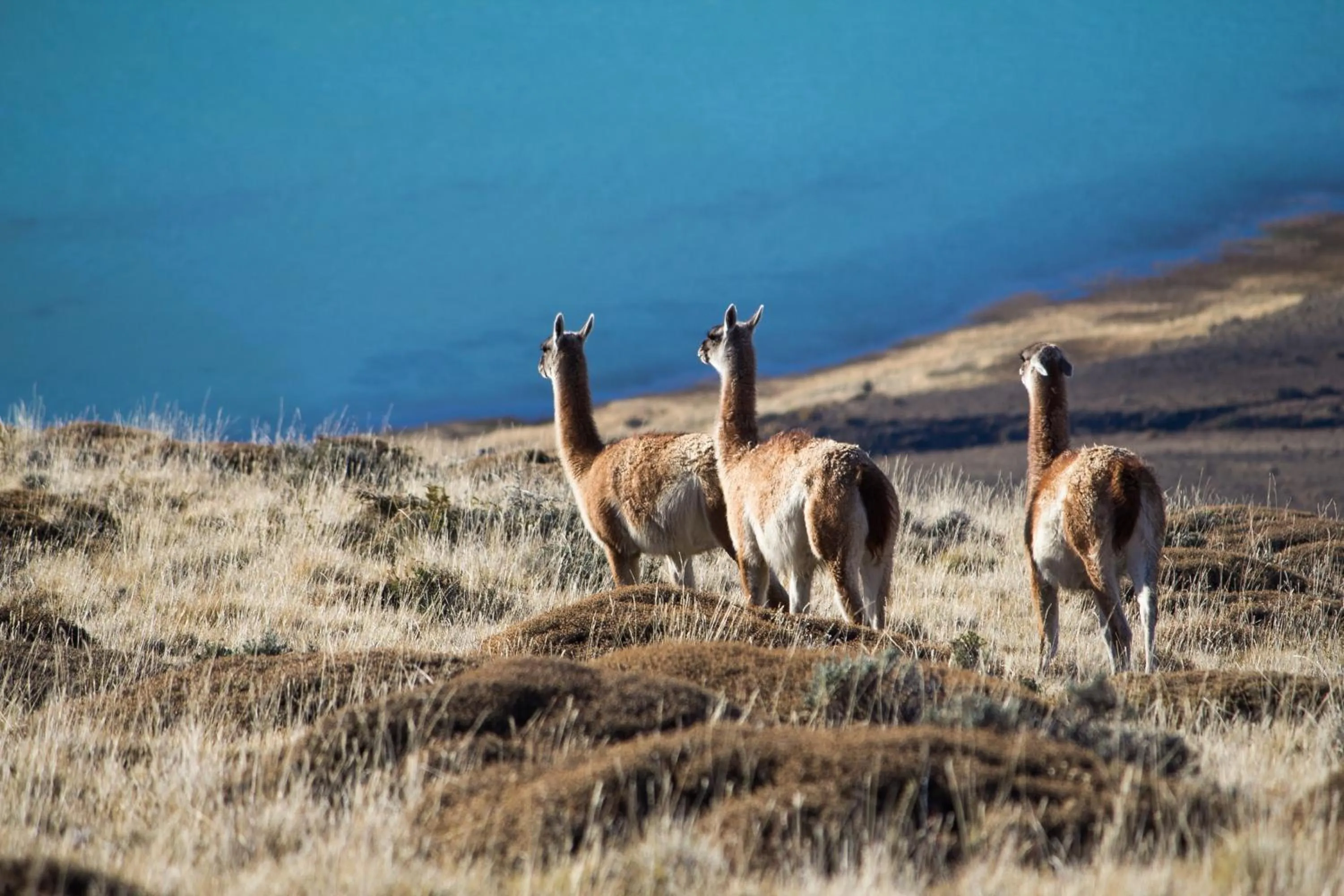 Nearby landmark in Linda Vista Apart Hotel