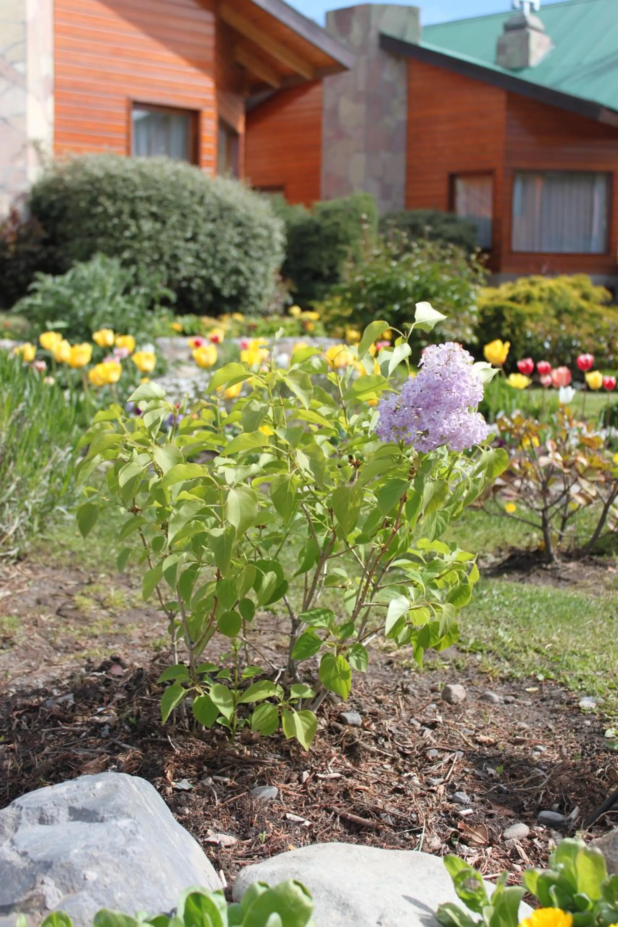 Garden in Linda Vista Apart Hotel