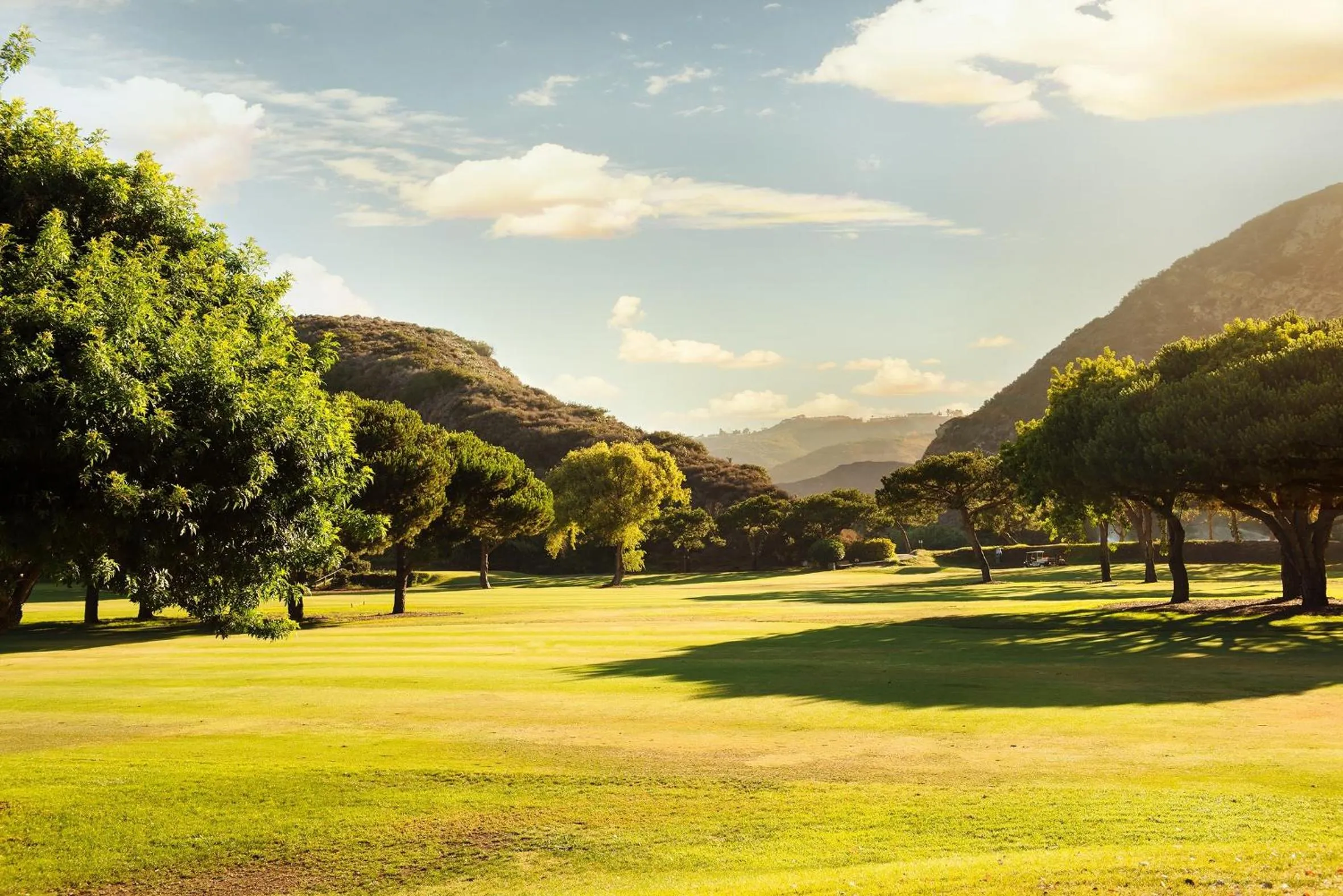 Natural landscape in The Ranch at Laguna Beach
