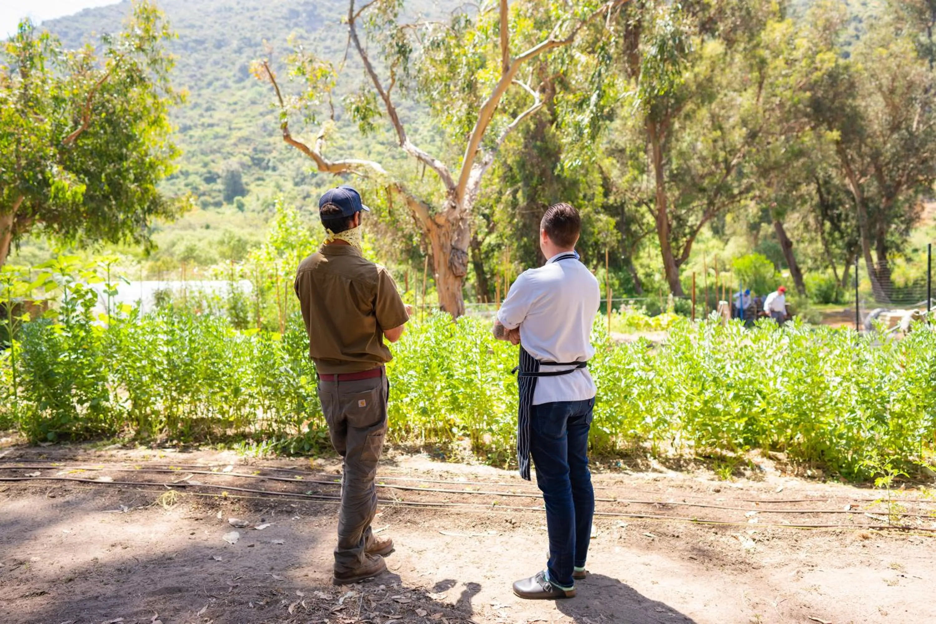 Spring in The Ranch at Laguna Beach