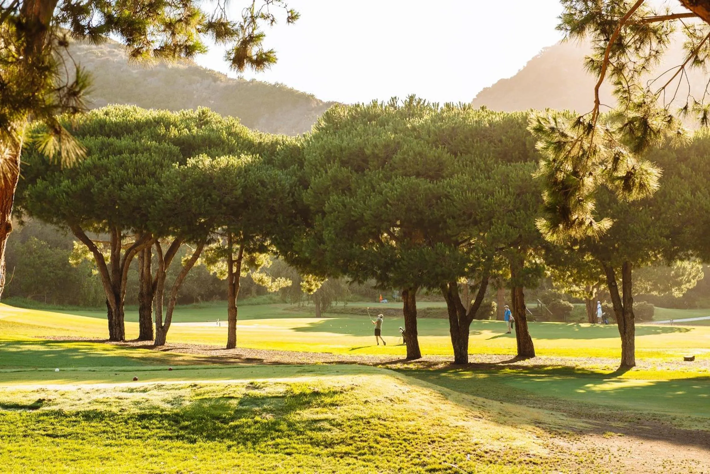 Natural landscape in The Ranch at Laguna Beach