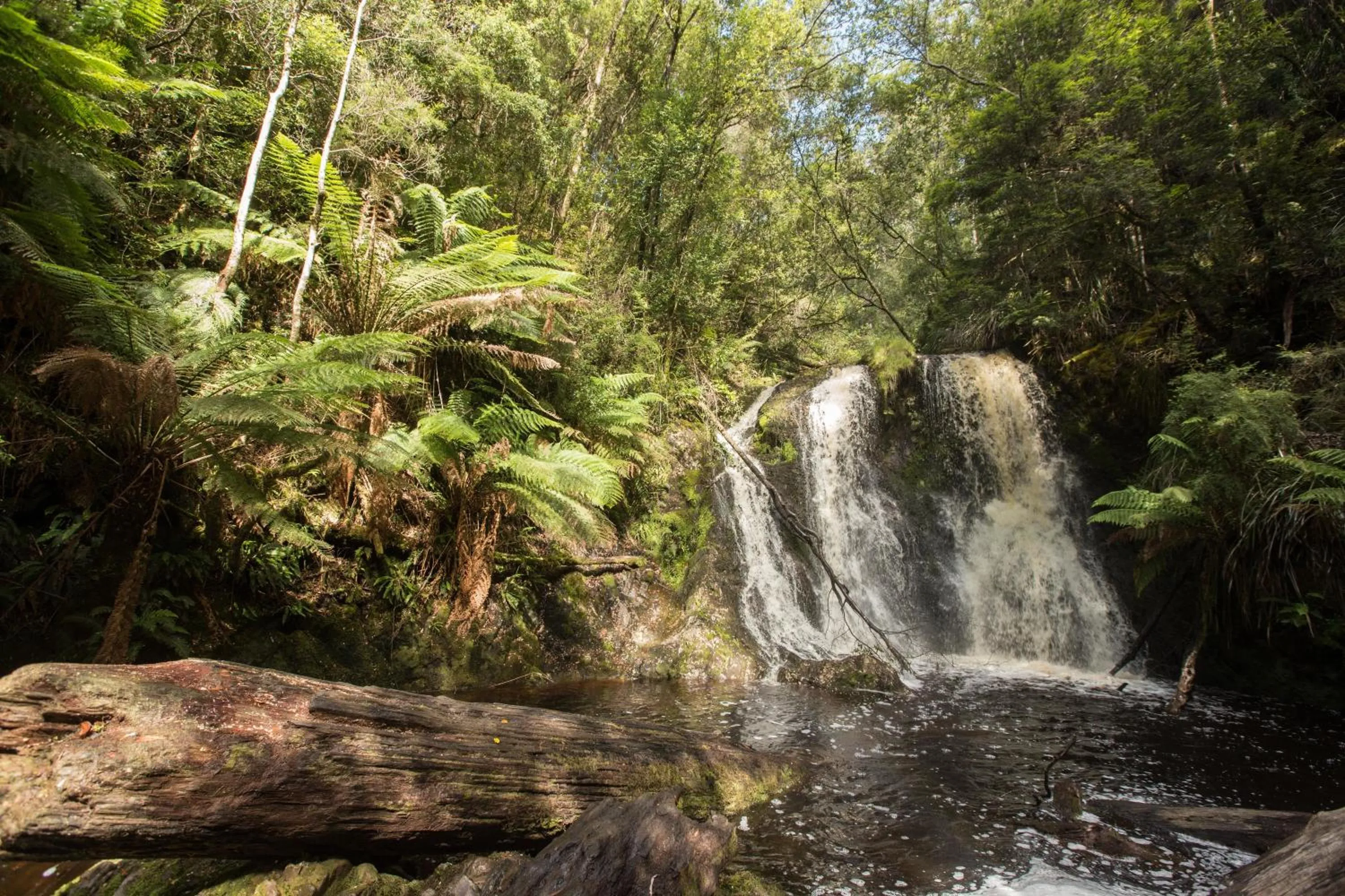 Day in Strahan Village