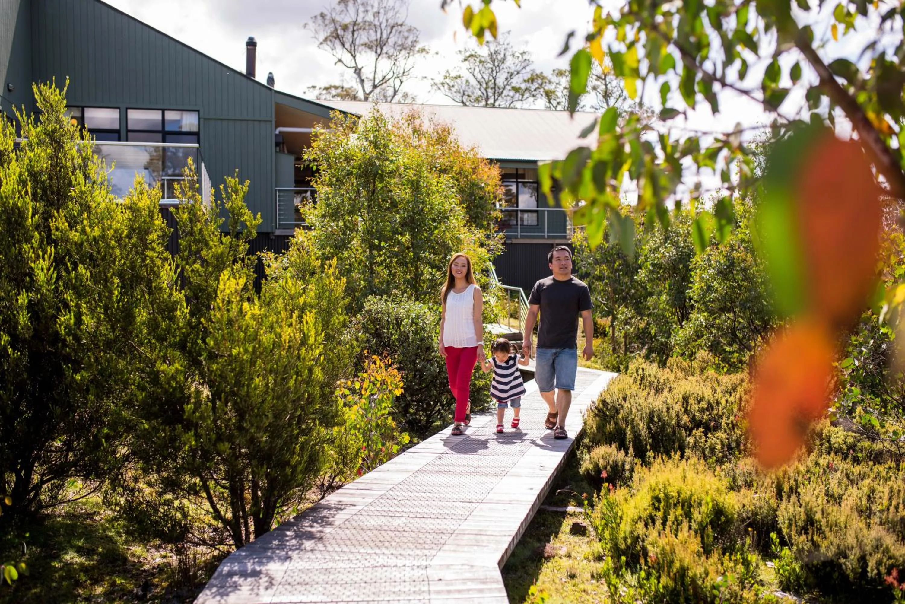 Summer in Cradle Mountain Hotel