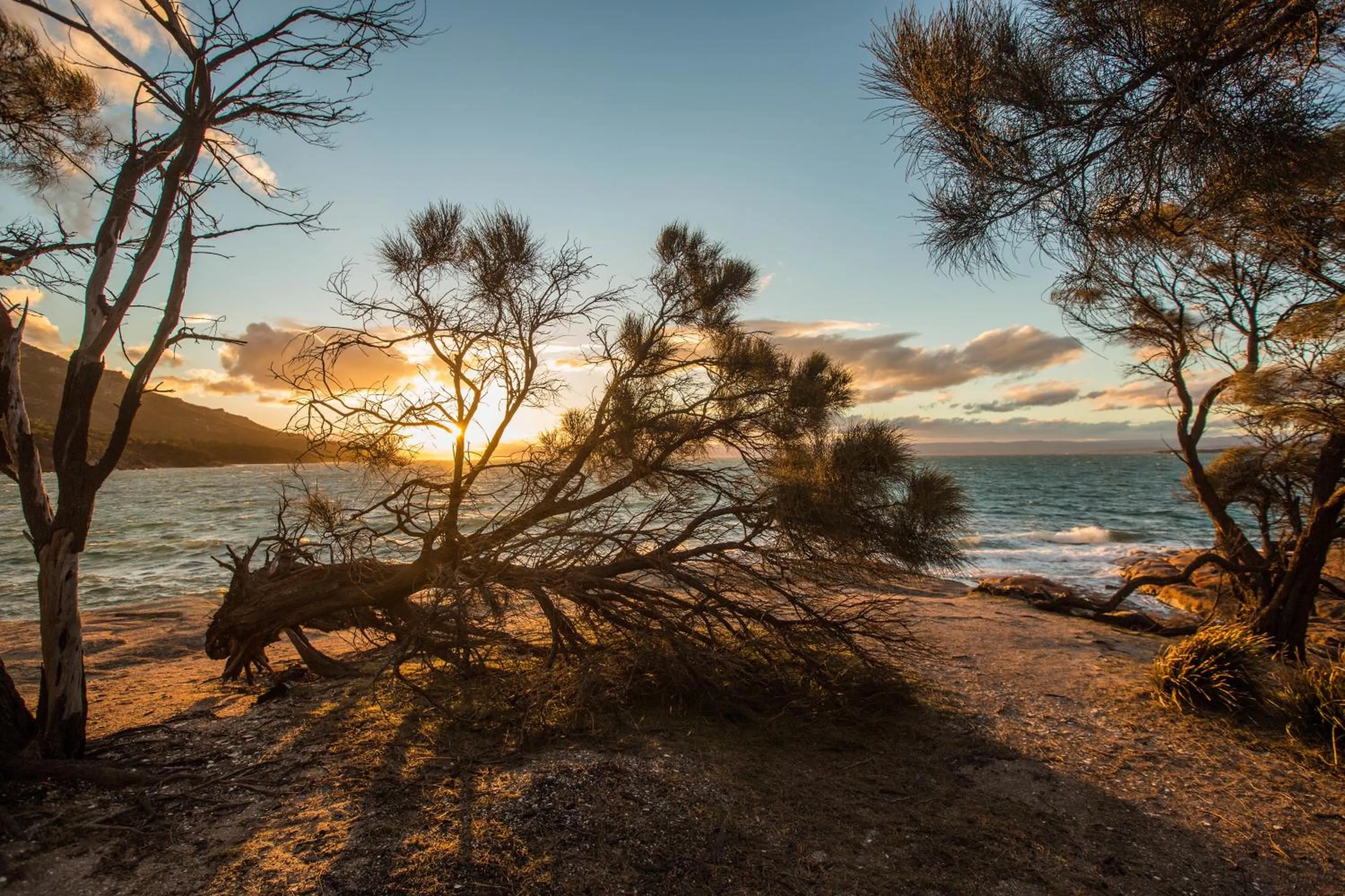 Natural landscape in Freycinet Lodge