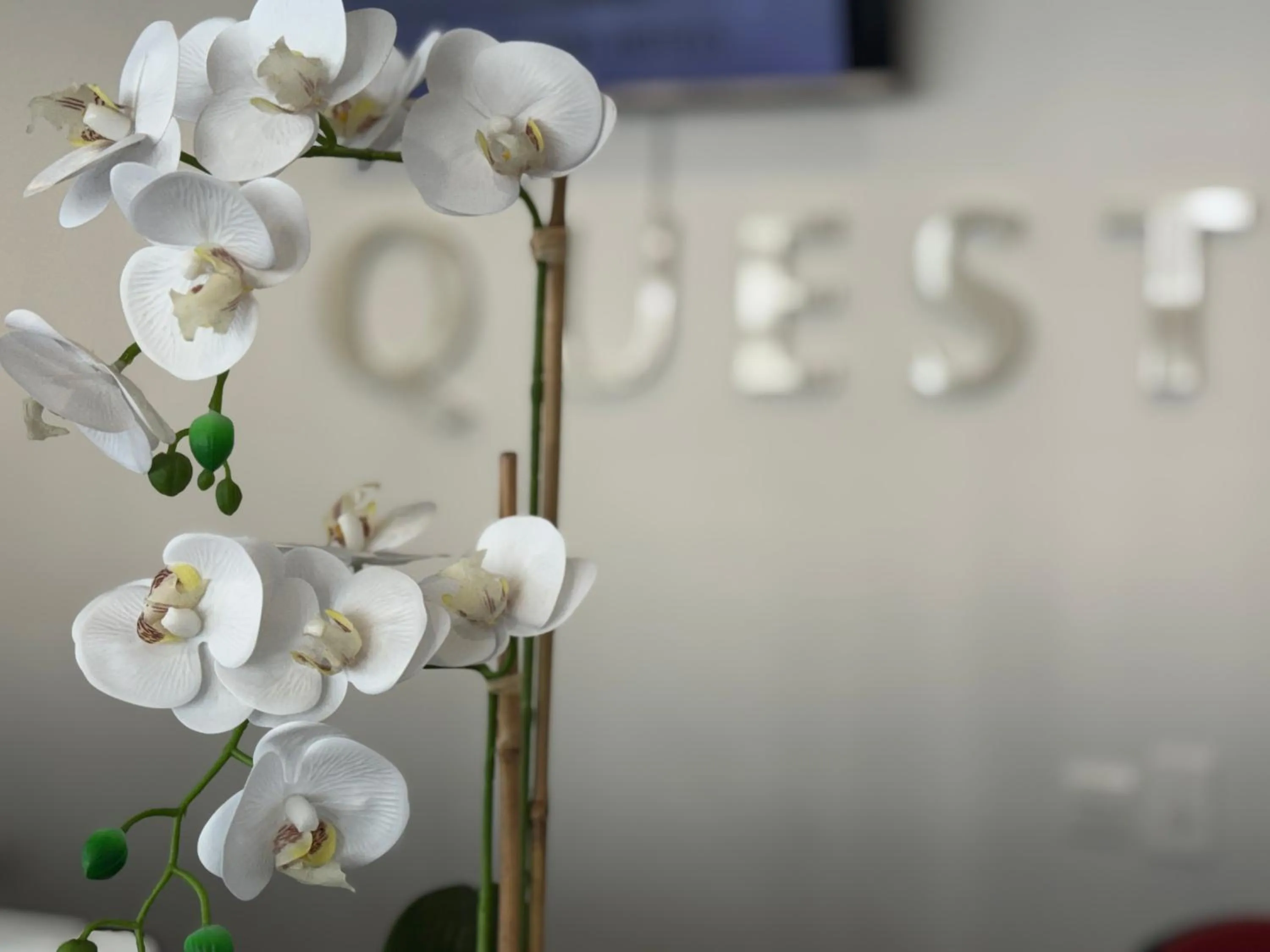 Property building in Quest Henderson, Auckland Apartment Hotel