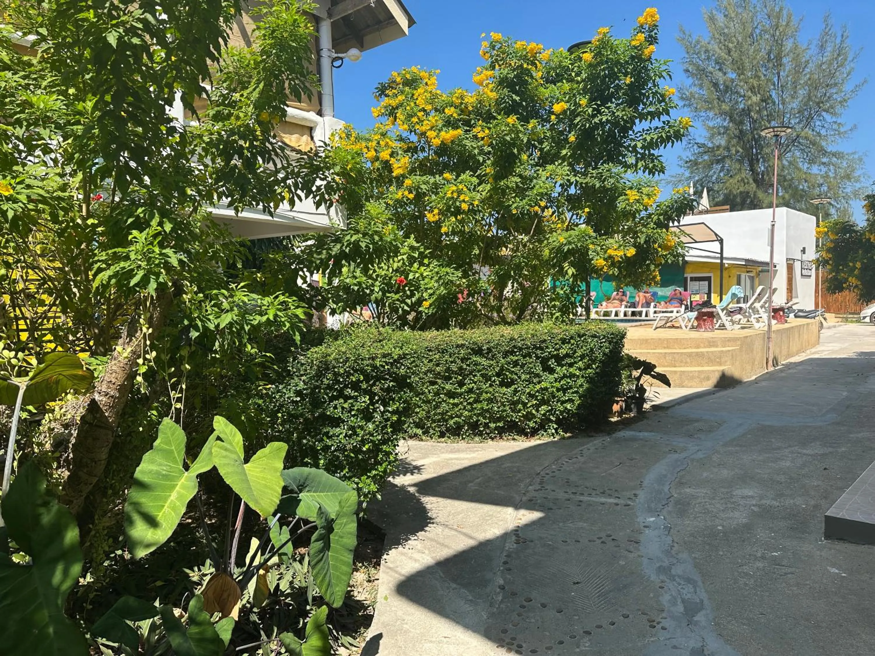 Garden in Lanta Garden Home