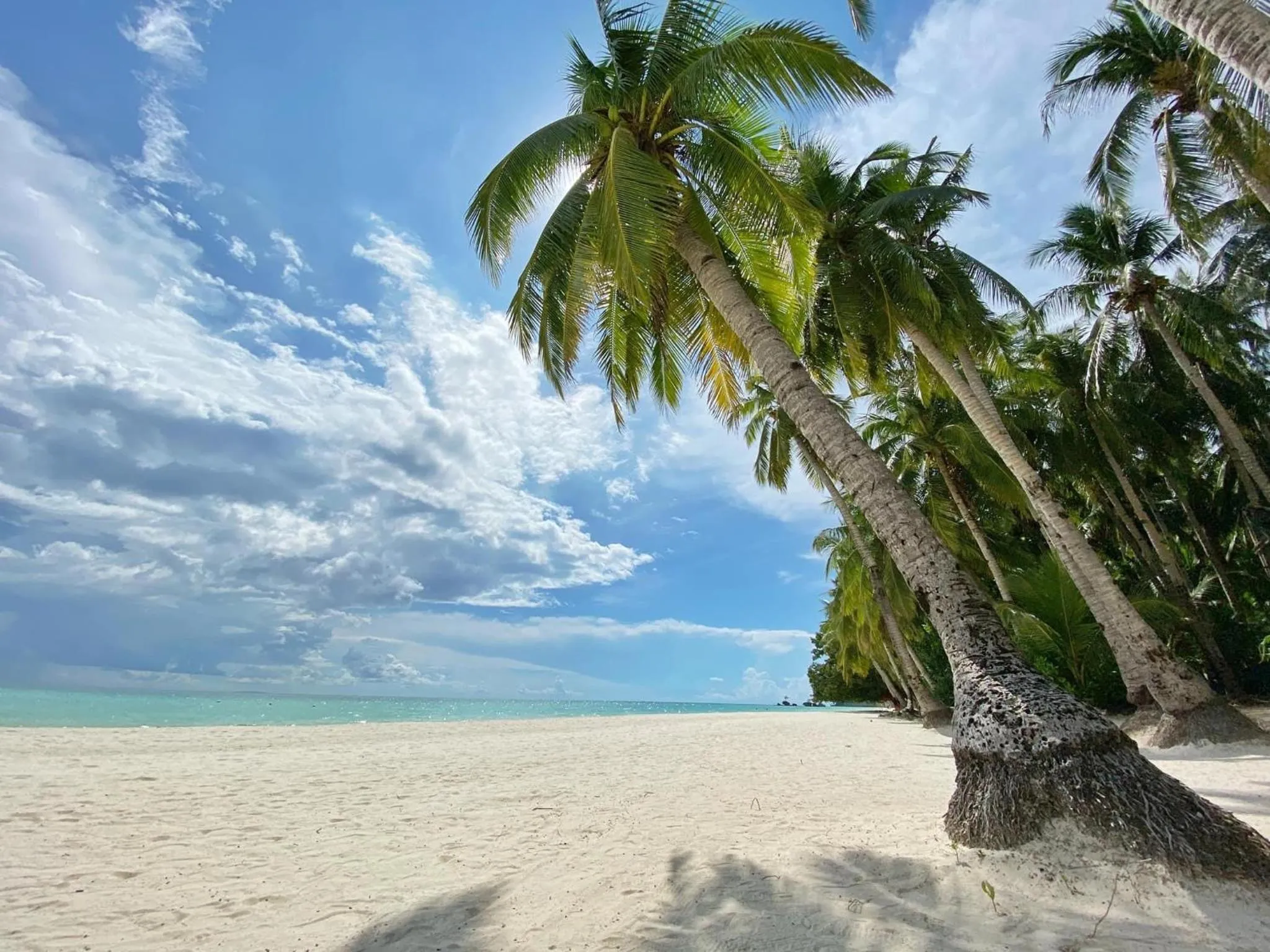 Beach in Jony's Beach Resort