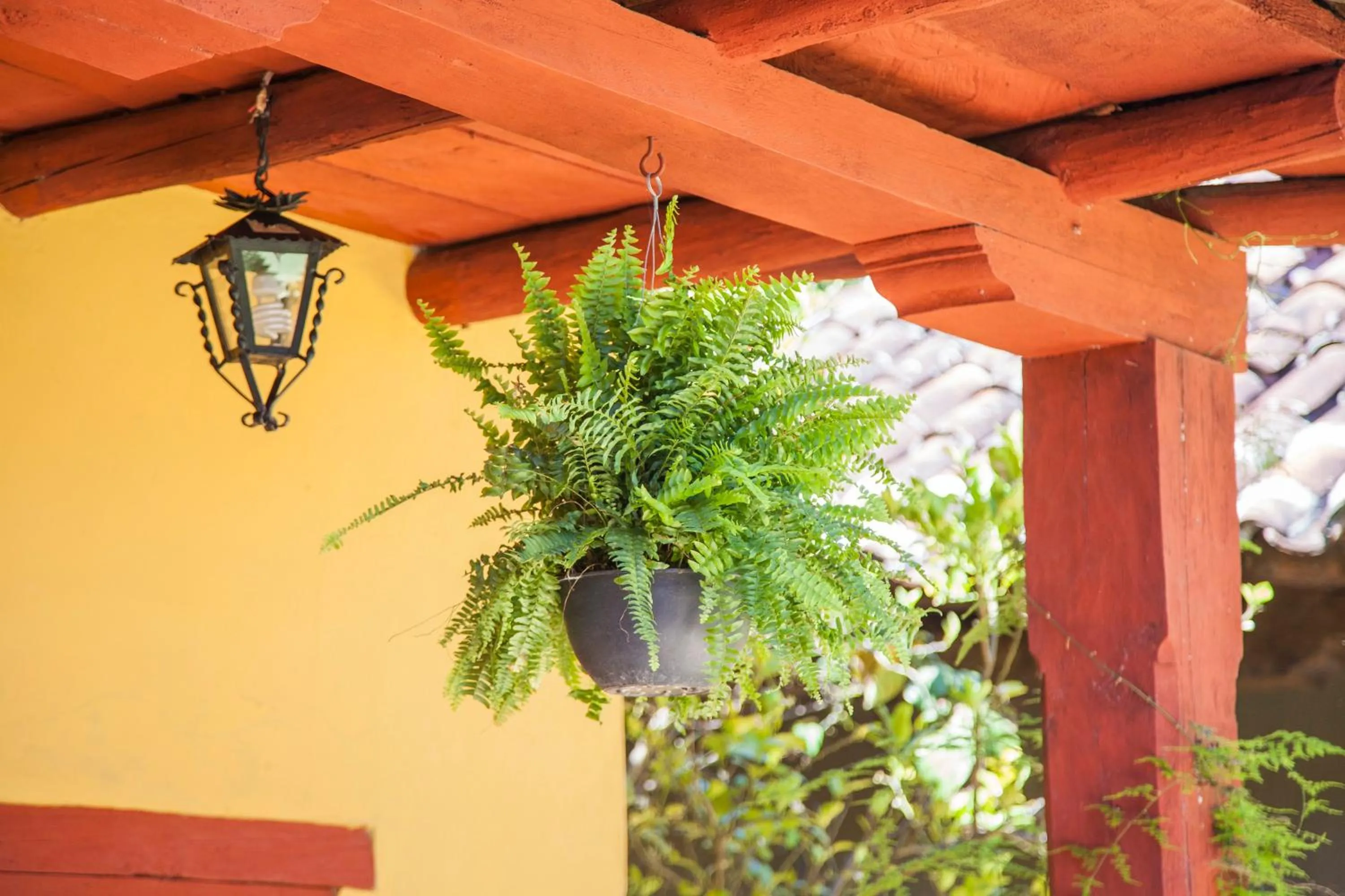 Decorative detail in Hotel Adobe y Teja