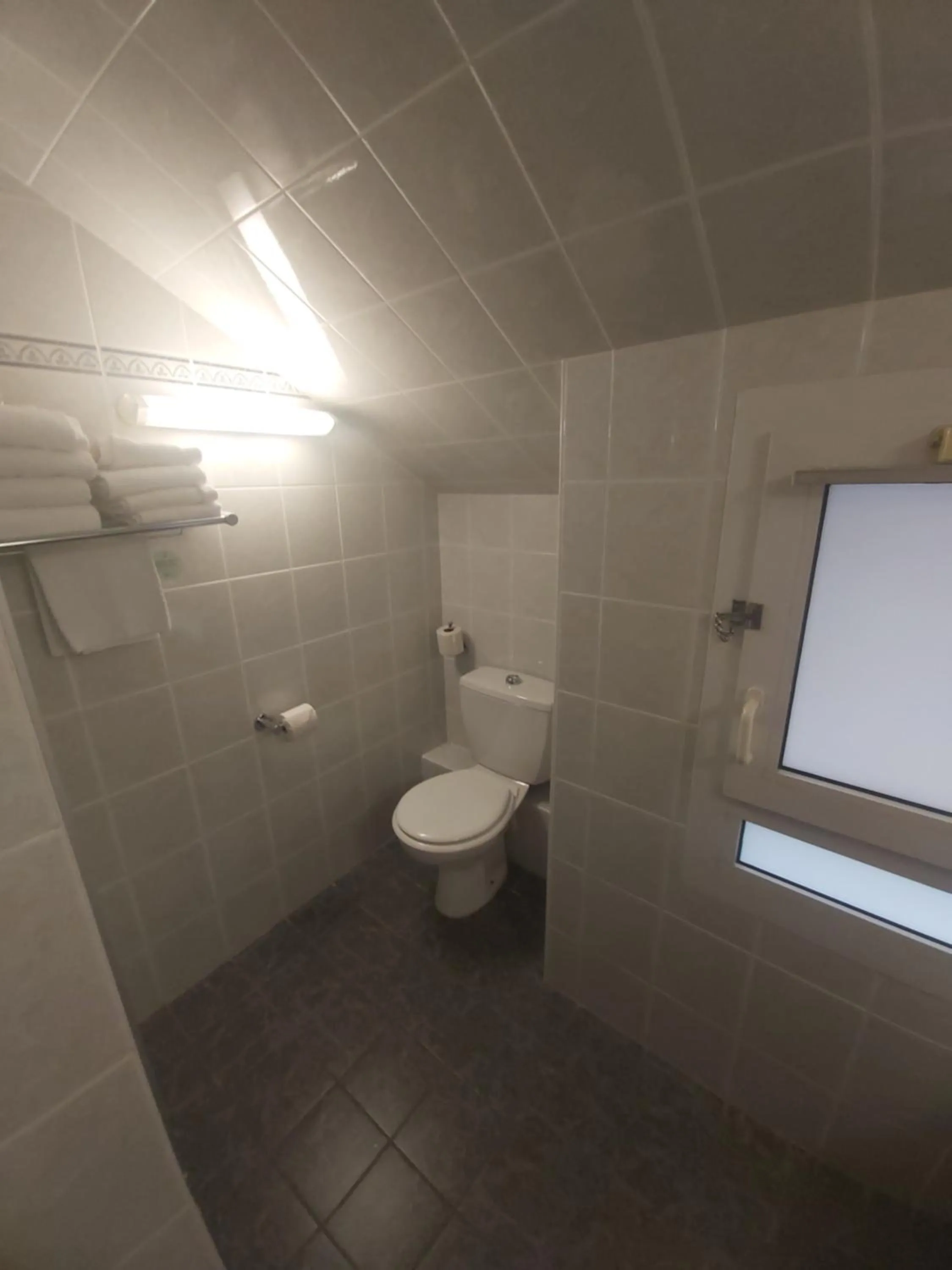 bidet in ibis Styles Bourg-en-Bresse Centre