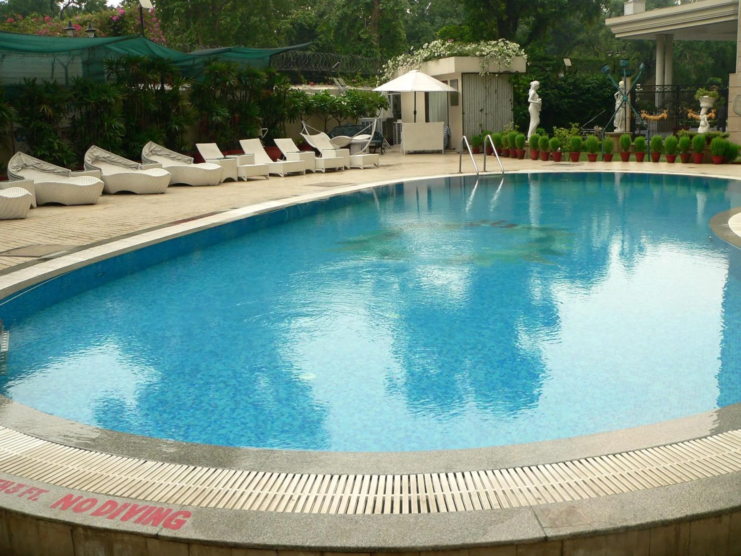 Pool view in Hotel The Royal Plaza
