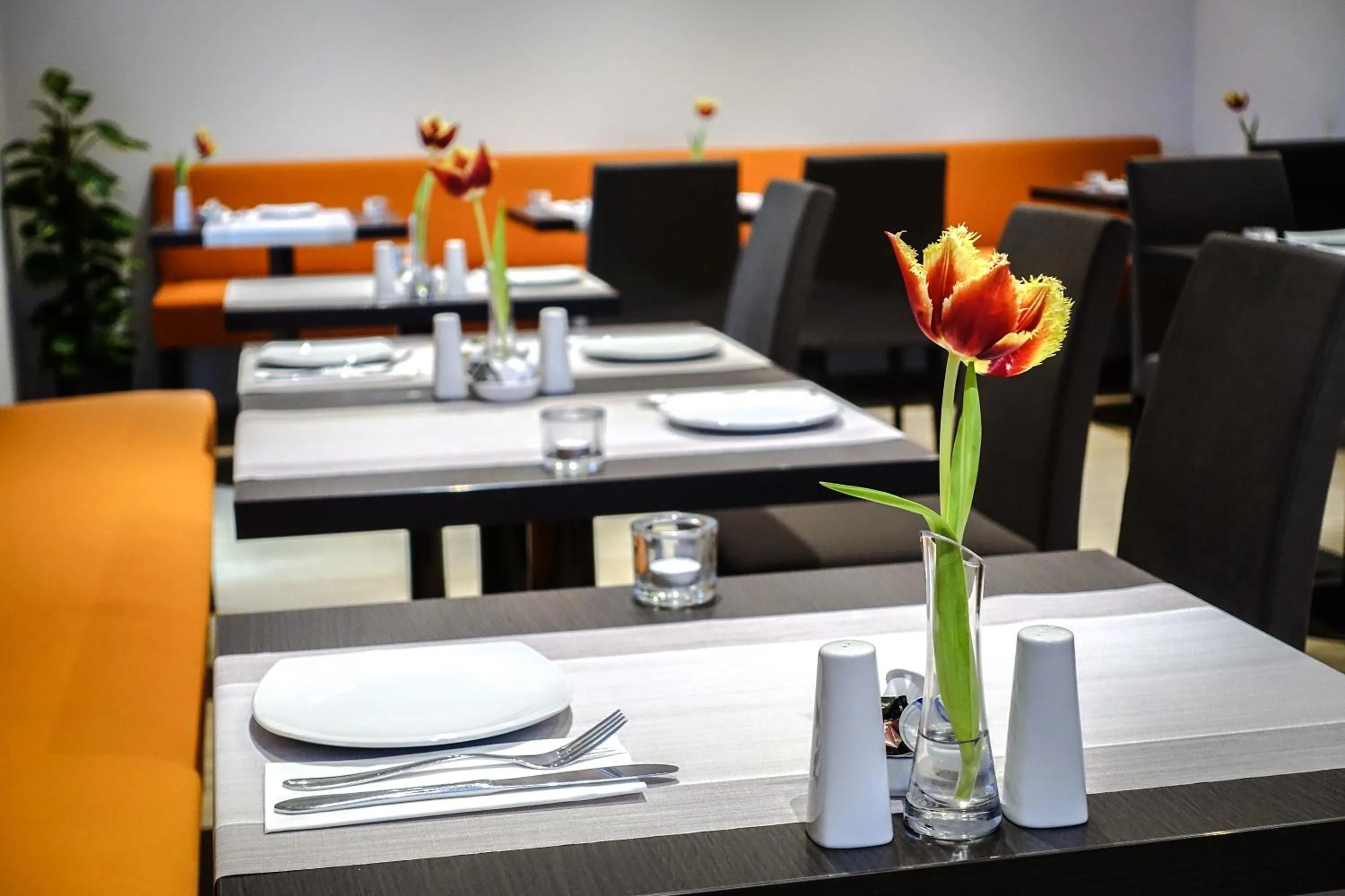Restaurant/places to eat in Hotel Go2Bed Weil am Rhein - Basel
