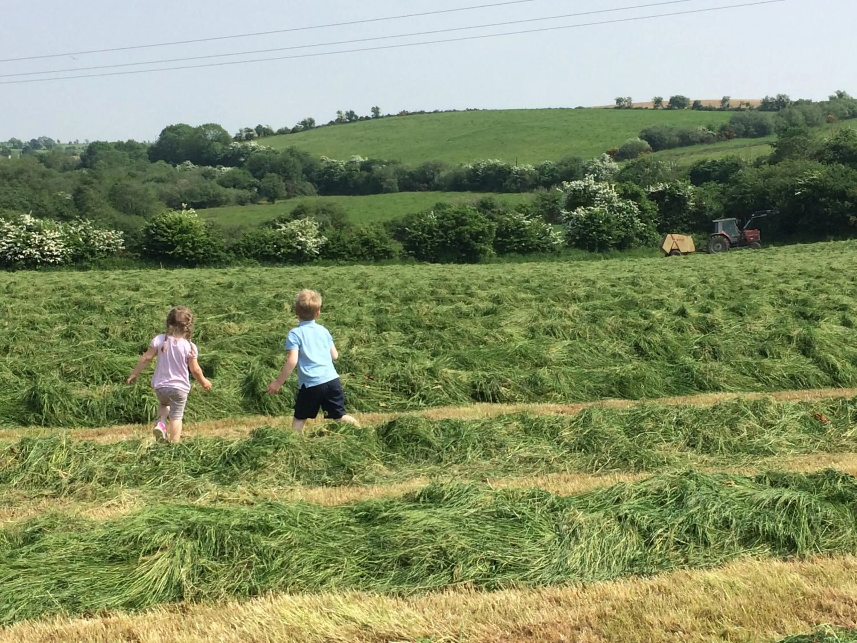 Grey Gables Farmhouse B&B