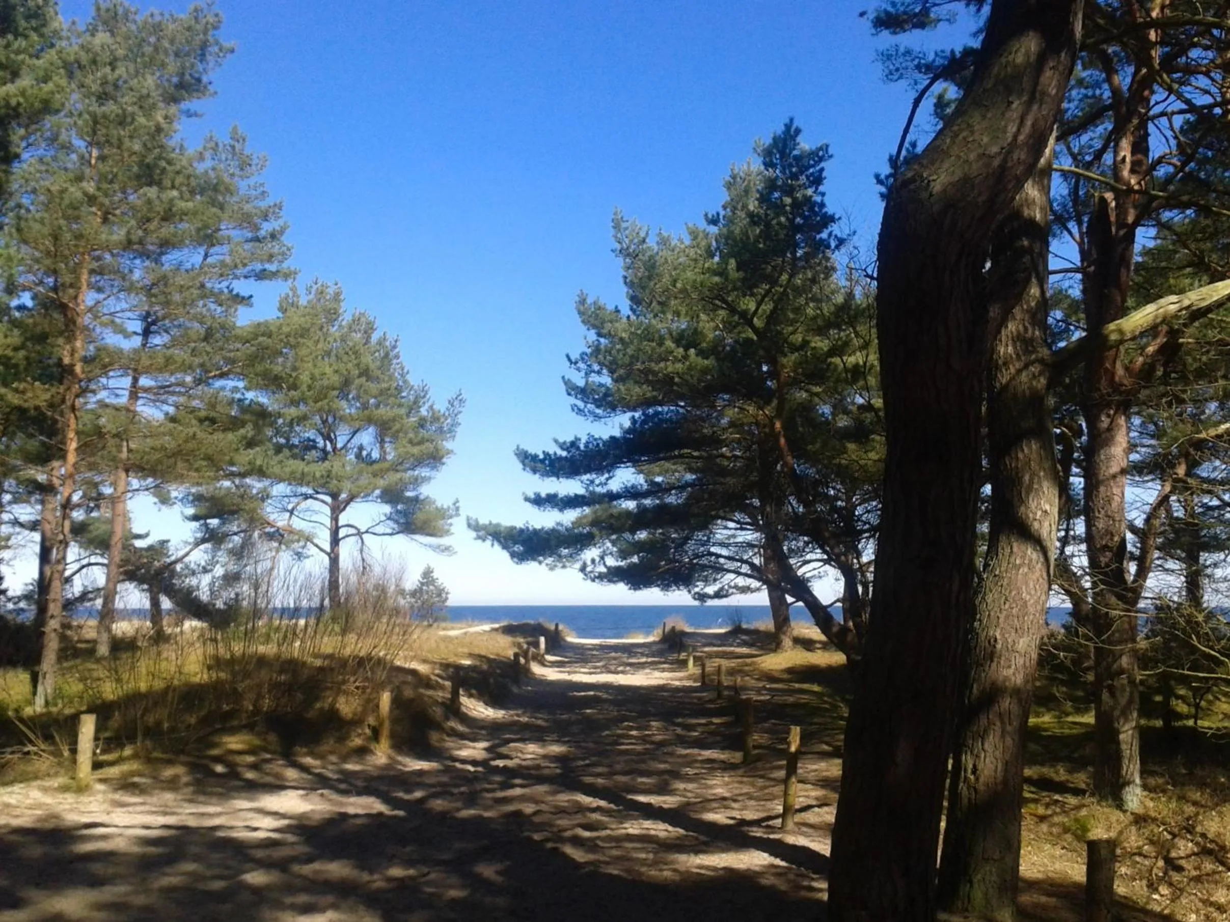 Off site in Kastanienhof Hotel garni