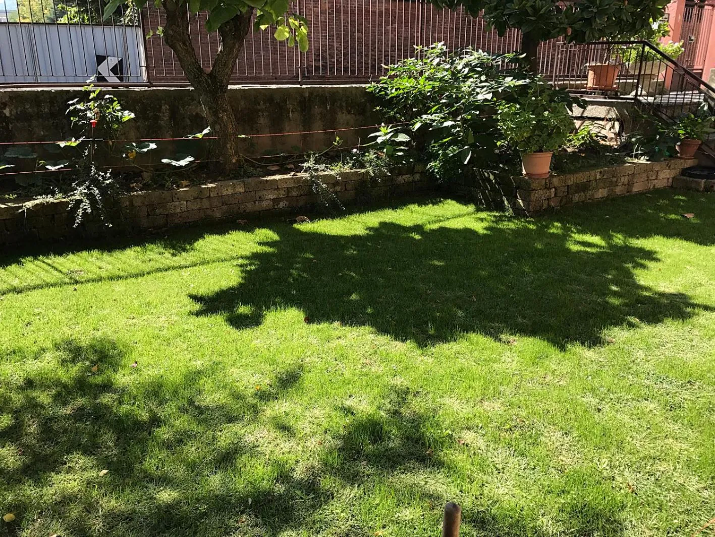 Garden view in Casa Soave B&B