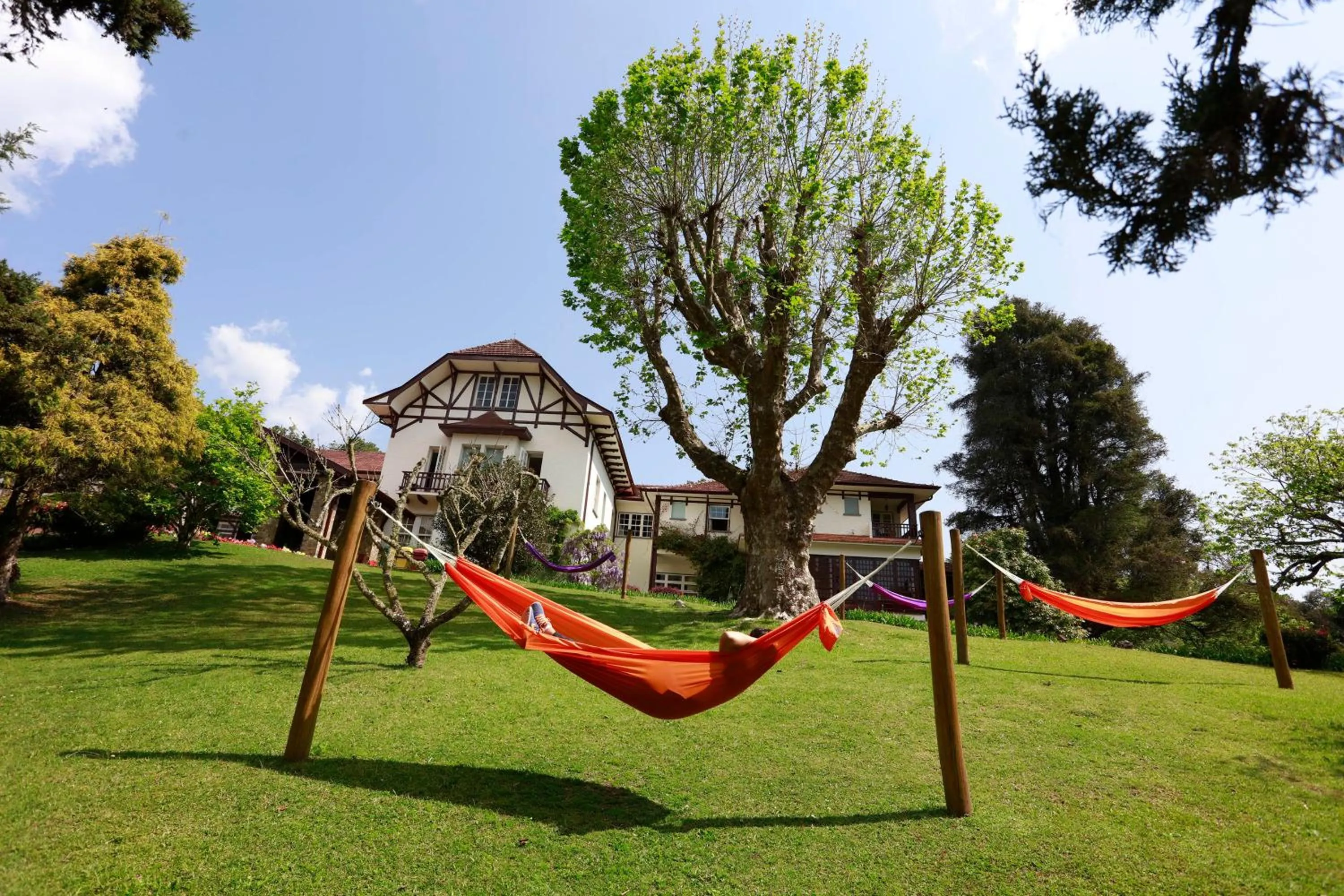 Garden view in Hotel Vila Inglesa