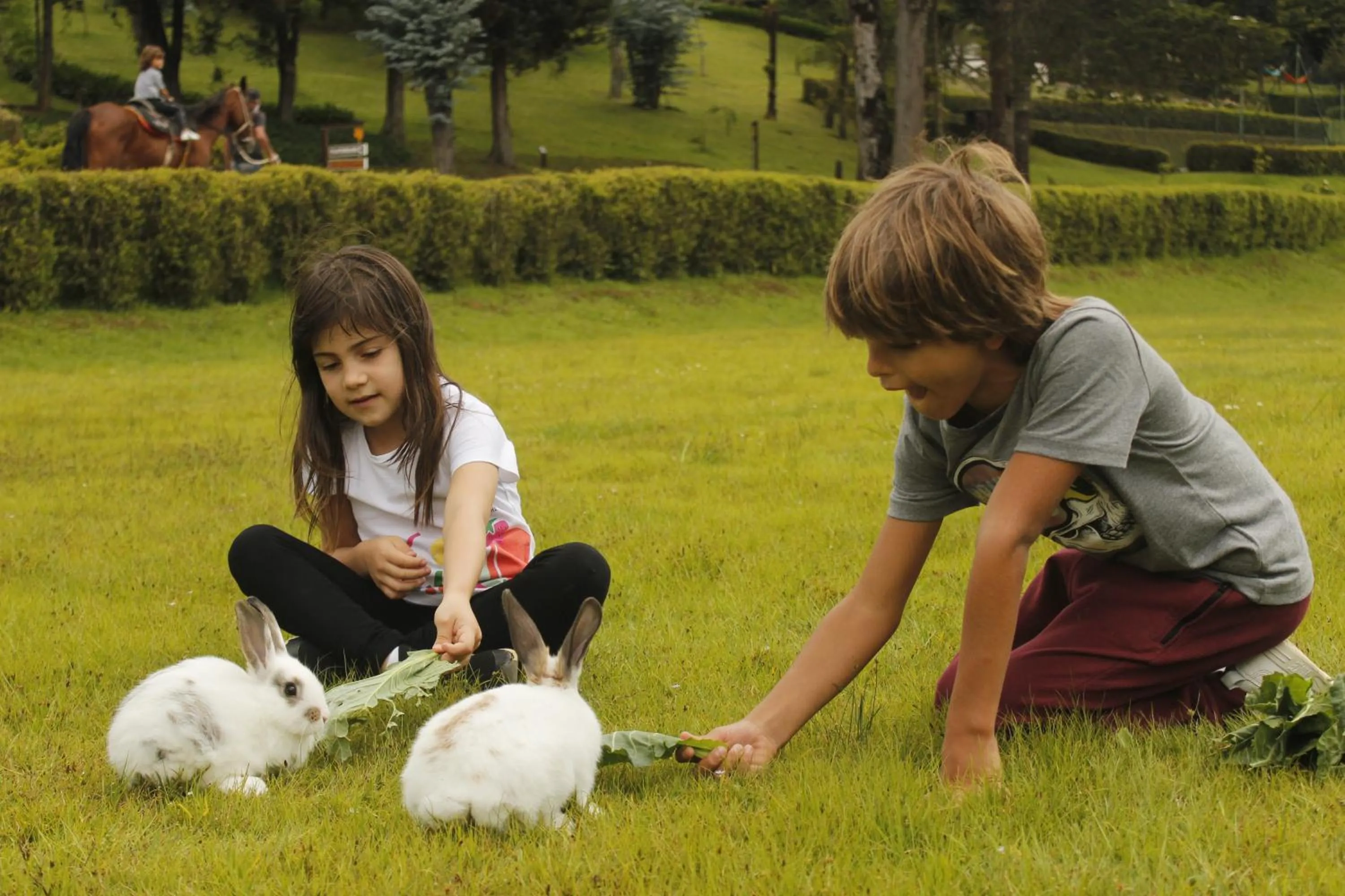 children in Hotel Vila Inglesa