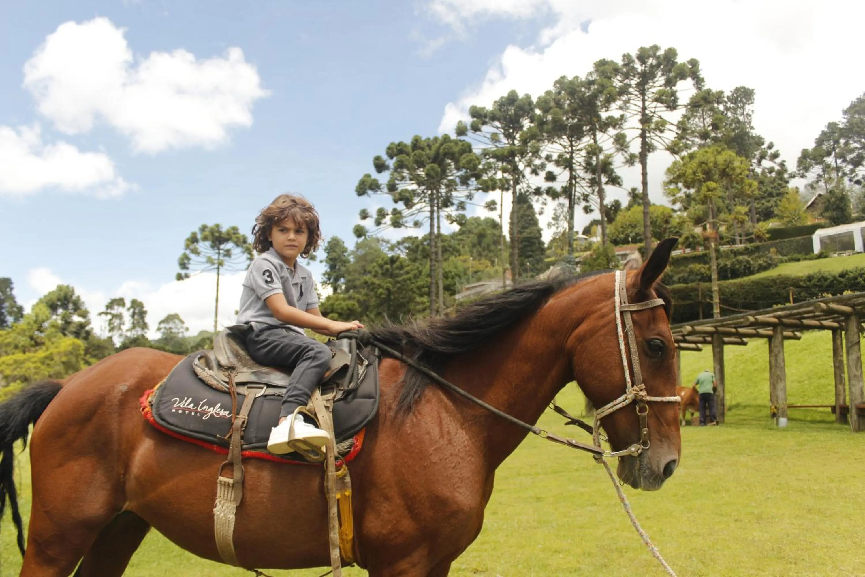 Animals in Hotel Vila Inglesa