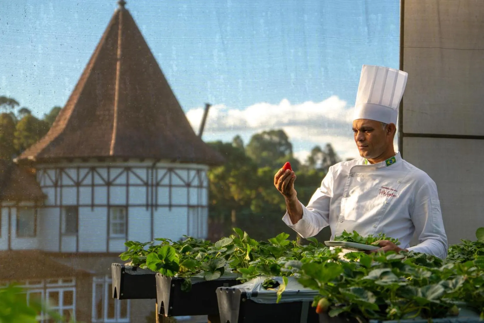 Garden view in Hotel Vila Inglesa