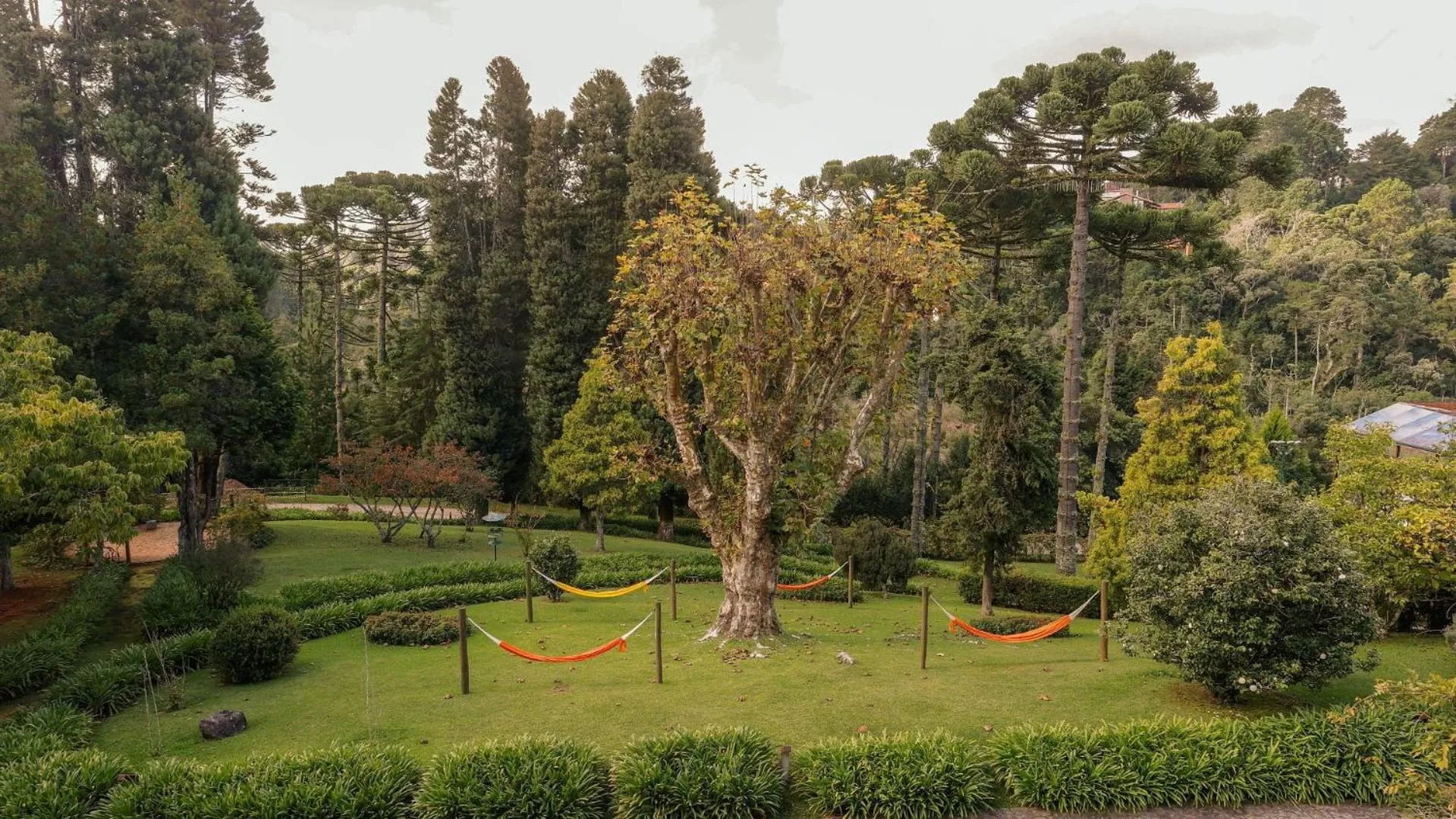 Natural landscape in Hotel Vila Inglesa