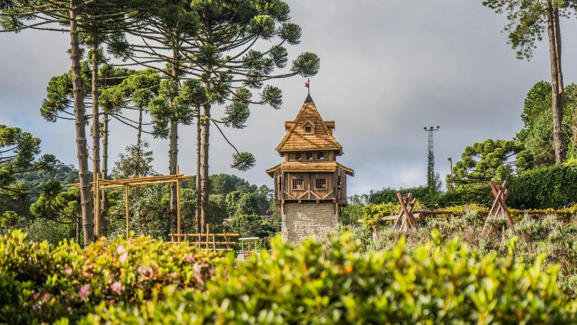 Garden view in Hotel Vila Inglesa