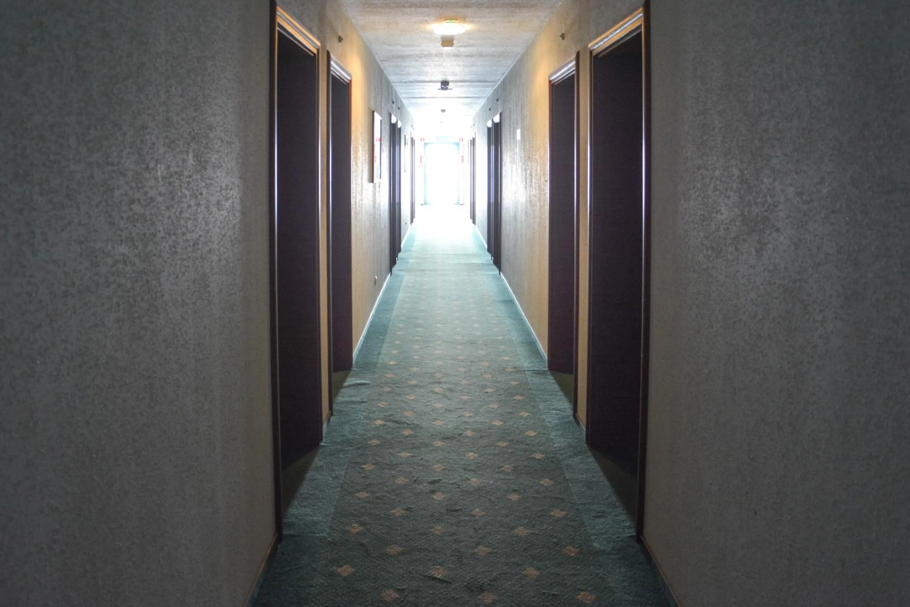 Windsurfing in Hotel Neo