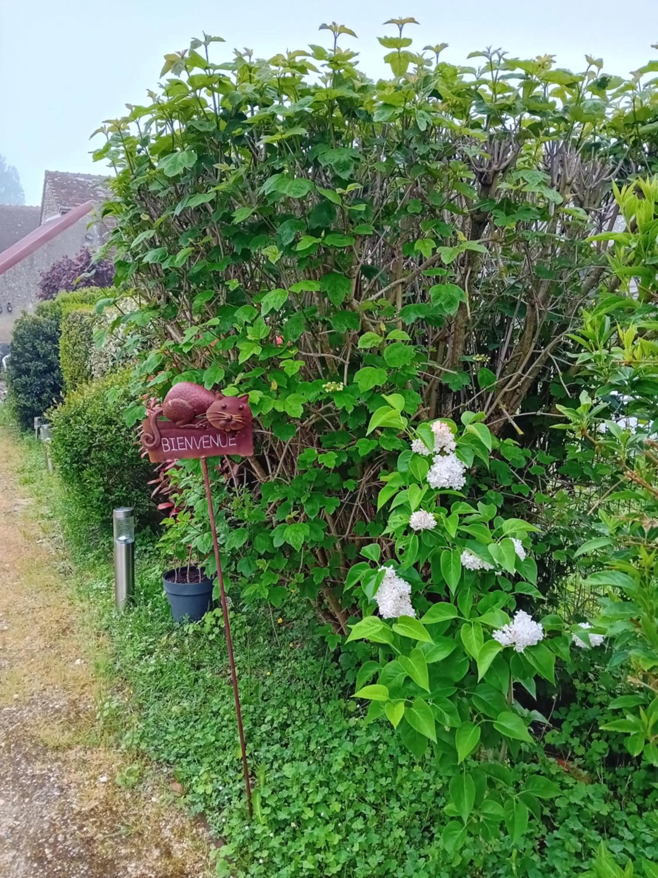 Garden in Ode au Bonheur St Georges sur Cher