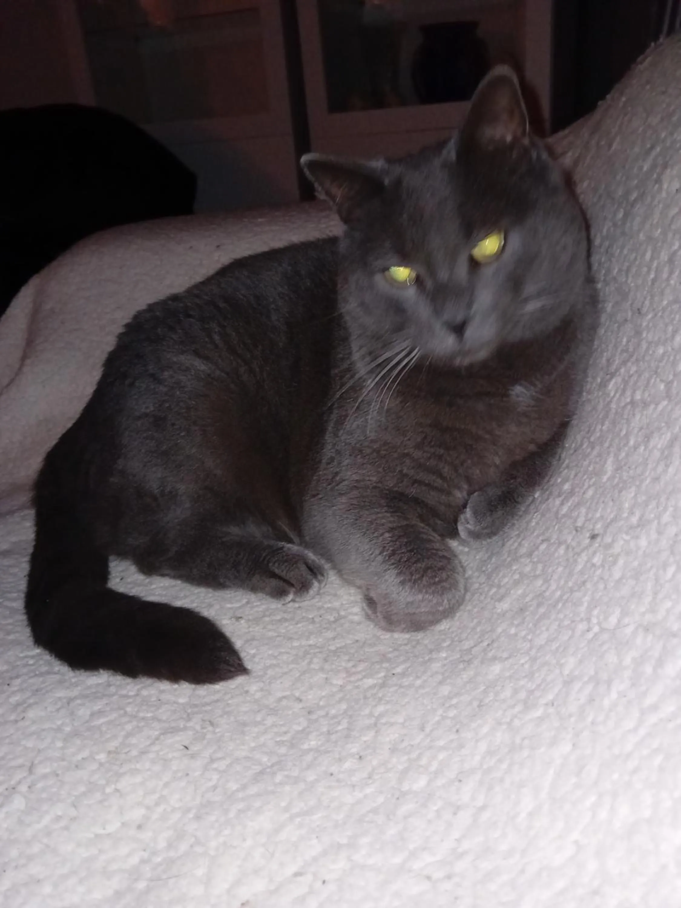 Ode au Bonheur St Georges sur Cher