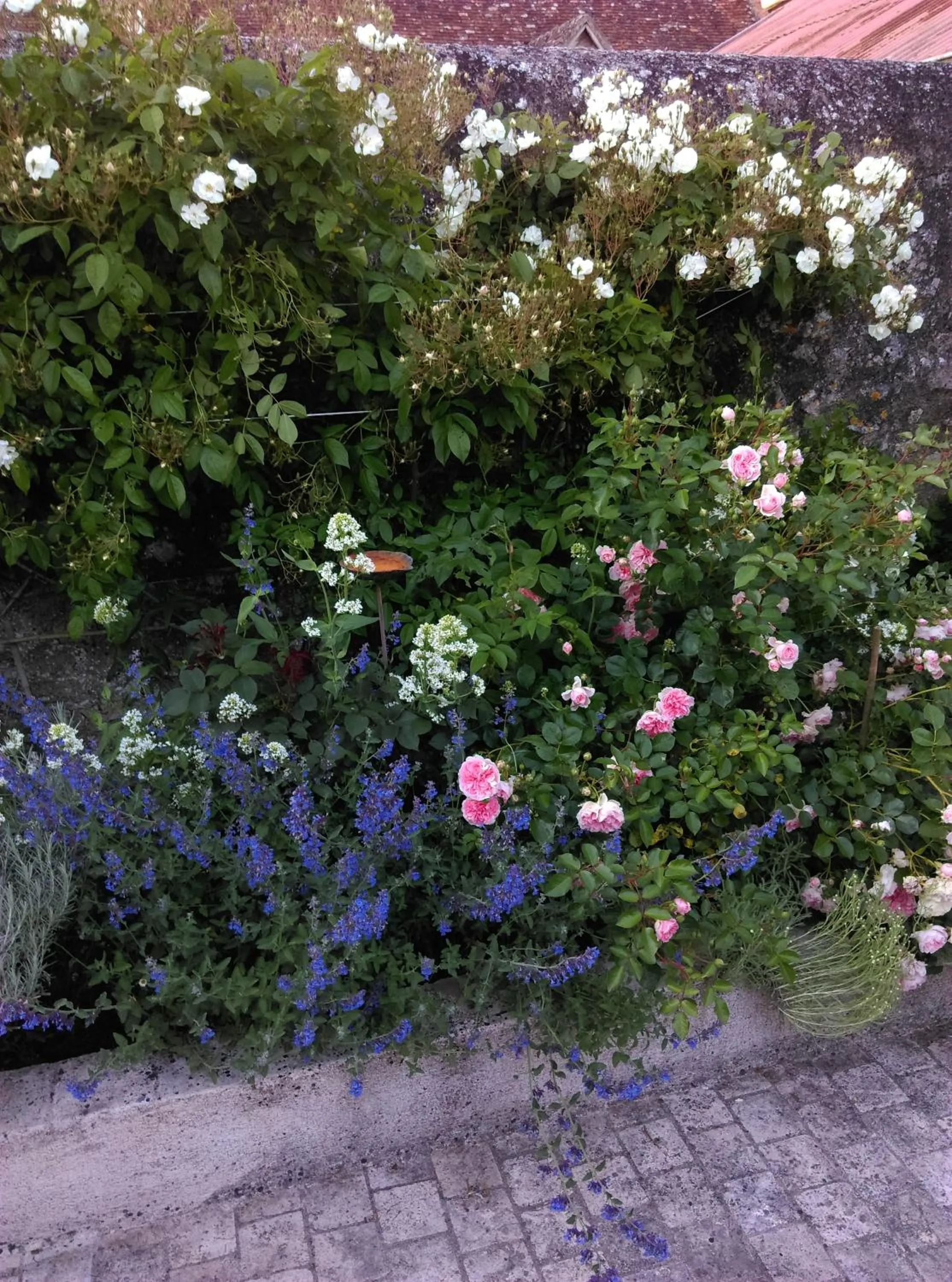 Garden in Ode au Bonheur St Georges sur Cher